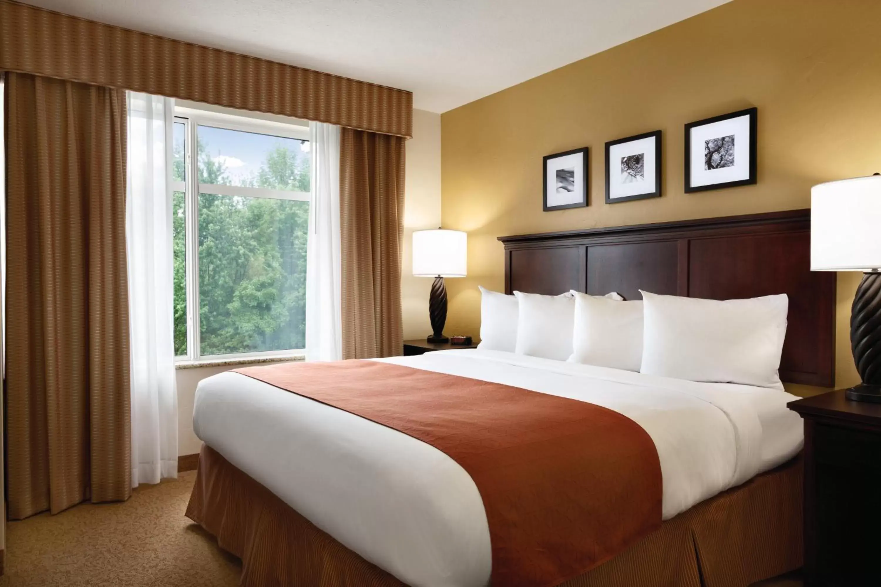 Bedroom, Bed in Country Inn & Suites by Radisson, Tampa Airport North, FL