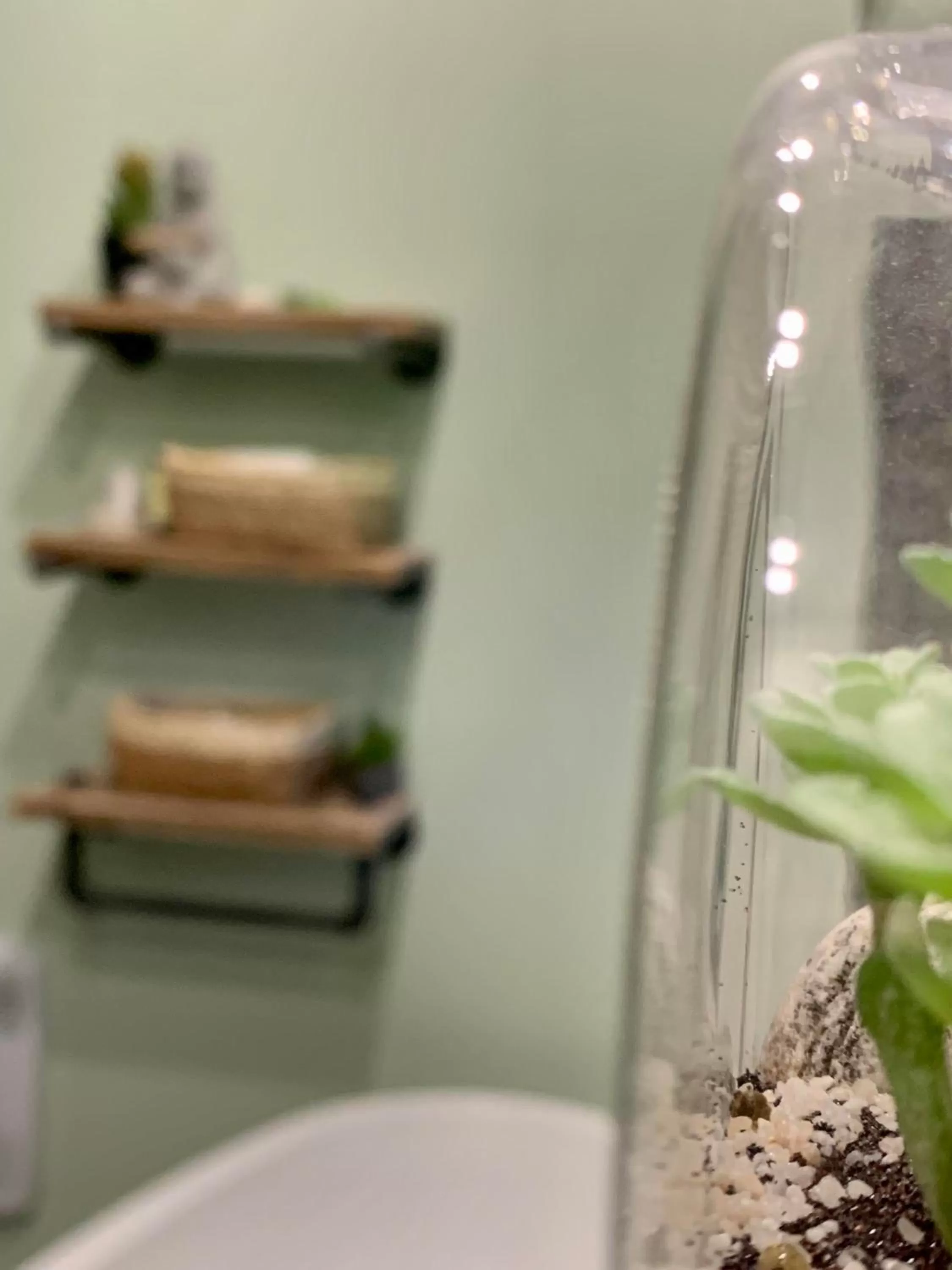 Decorative detail in Hôtel Sept-Îles