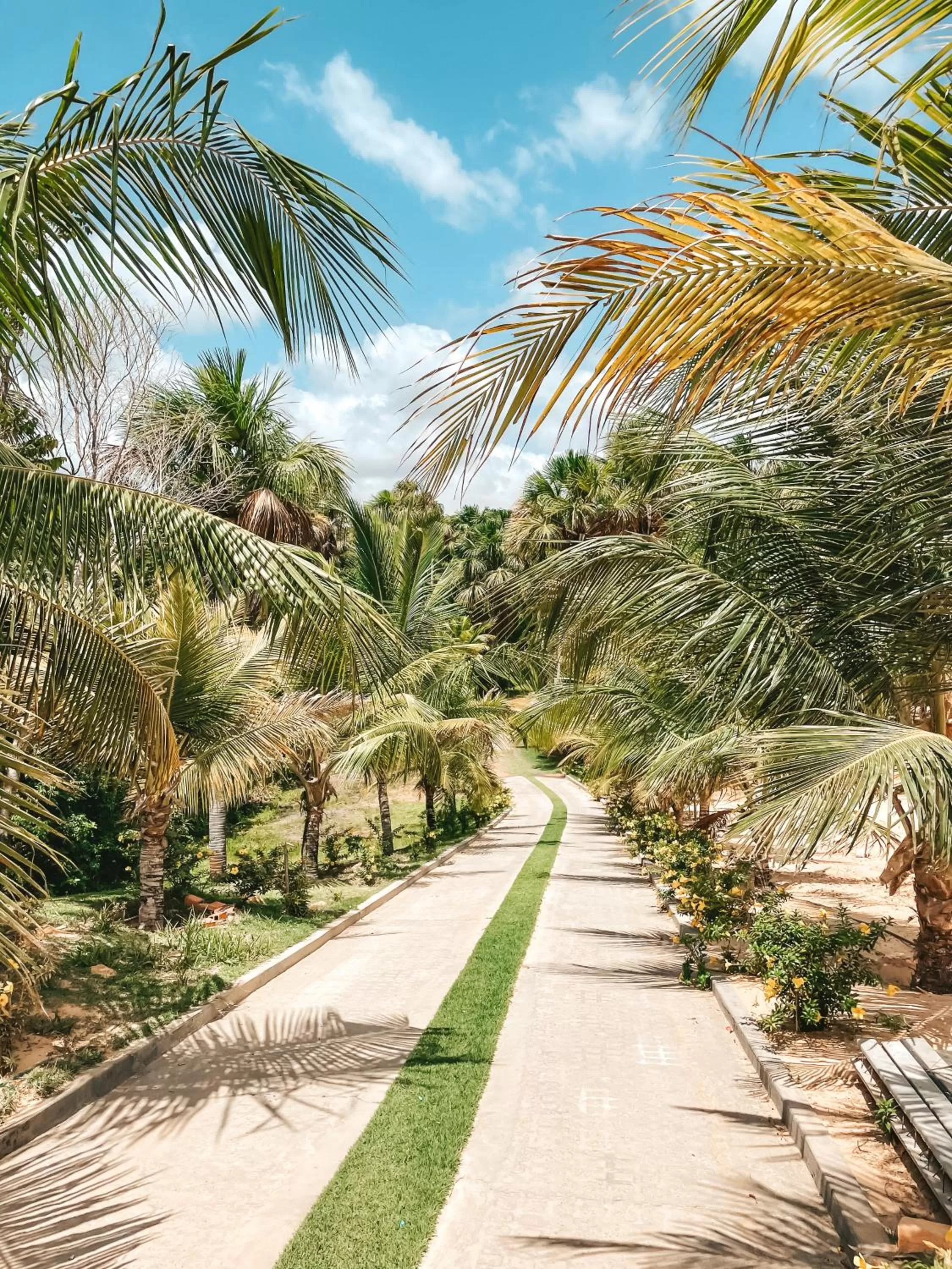 Garden in Pousada Vasto Horizonte