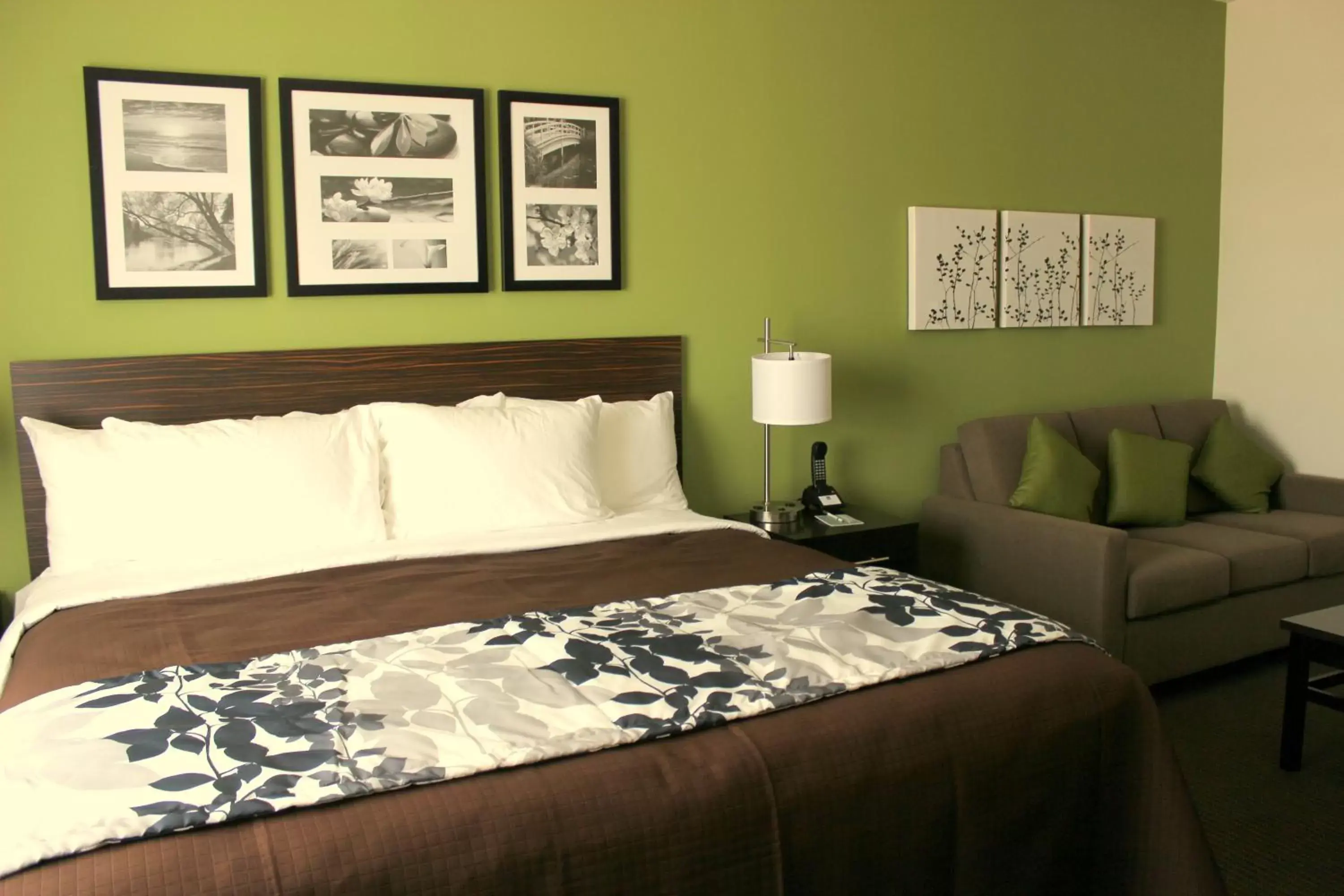 Living room, Bed in Sleep Inn & Suites