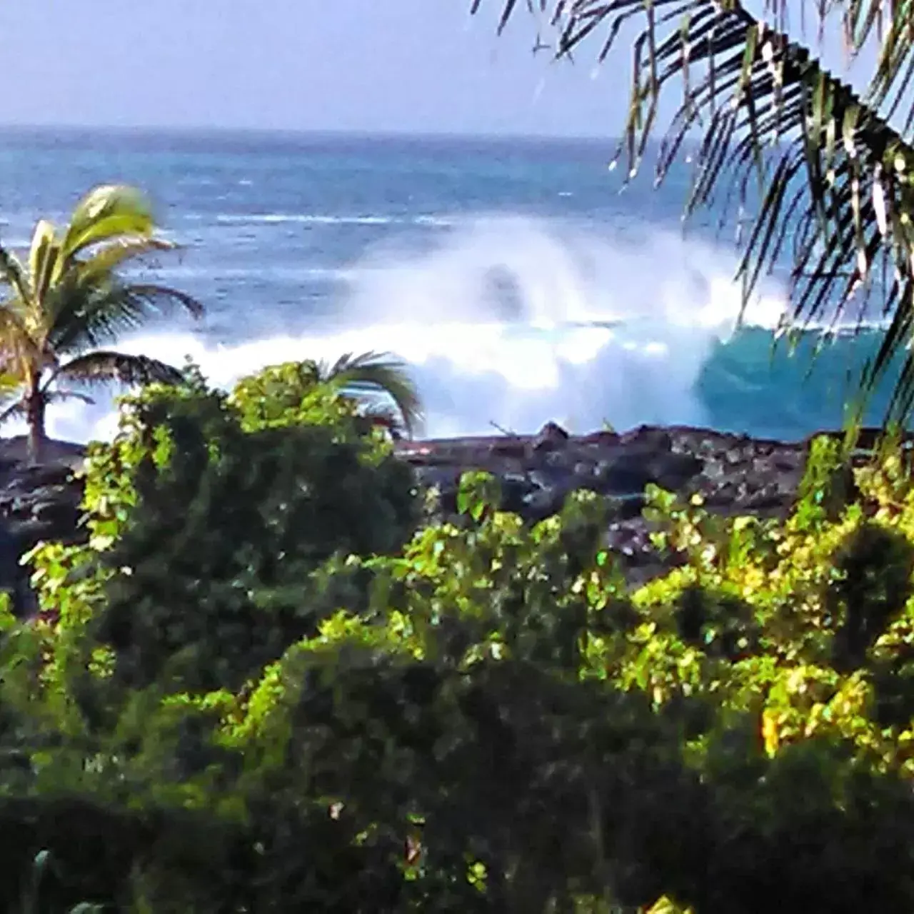 Natural landscape in Ma'ukele Lodge