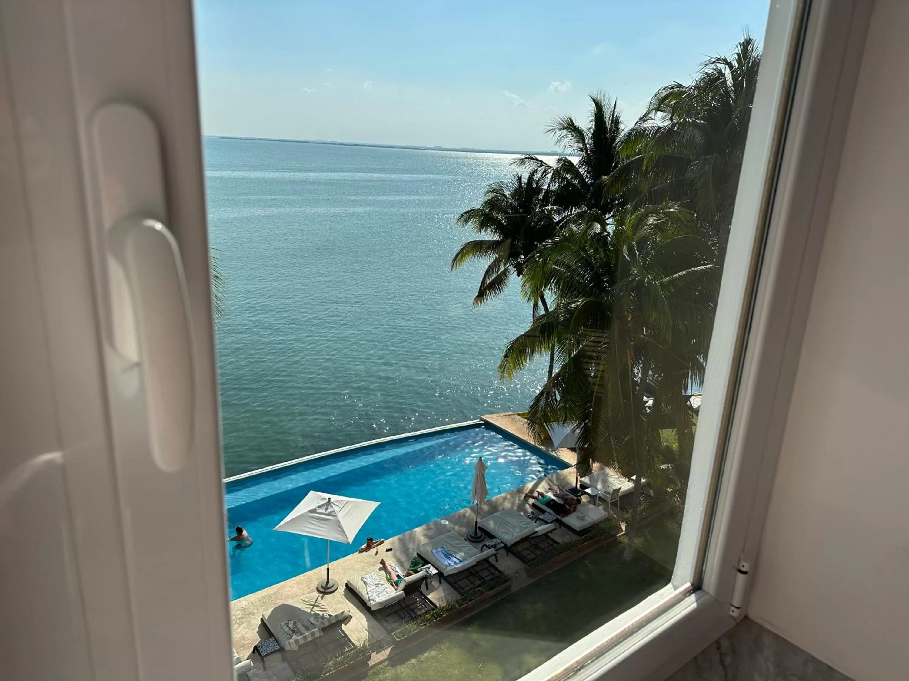 Pool View in Casa Tortugas Boutique Hotel - CANCUN Hidden Gem