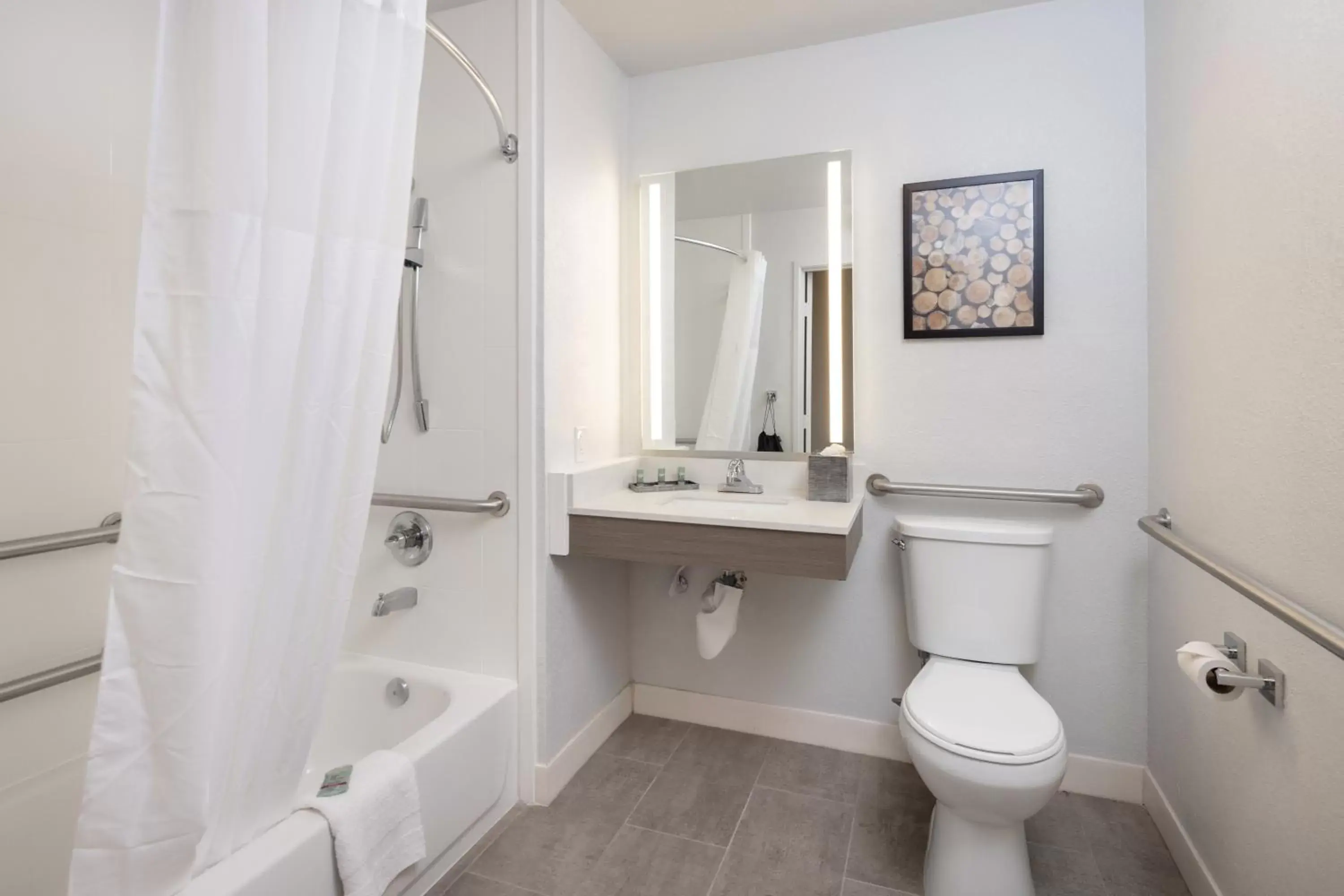 Bathroom in SureStay Plus Hotel by Best Western Hayward