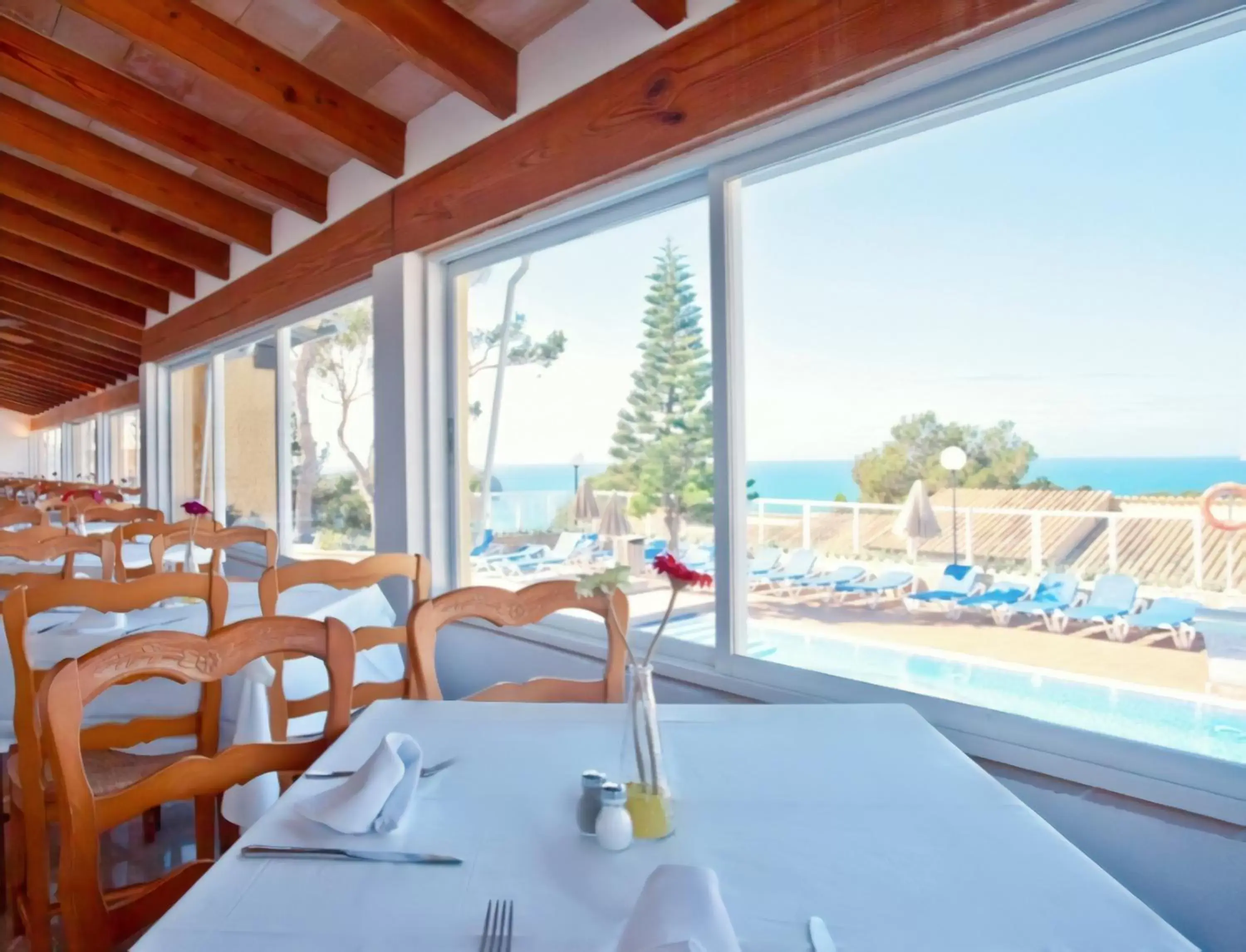 Restaurant/Places to Eat in Club Santa Ponsa