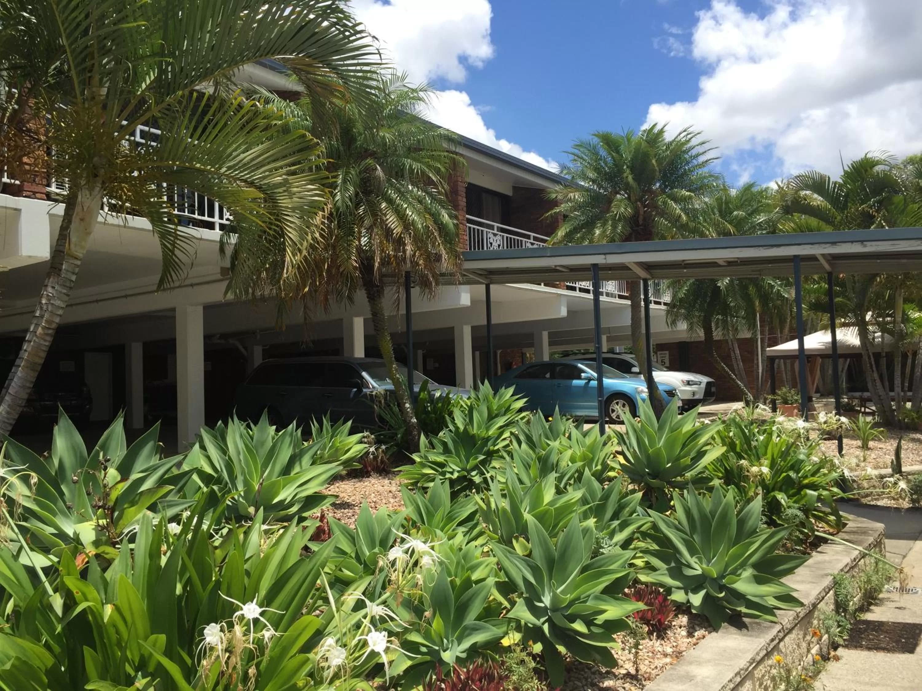 Garden in Logan City Motor Inn