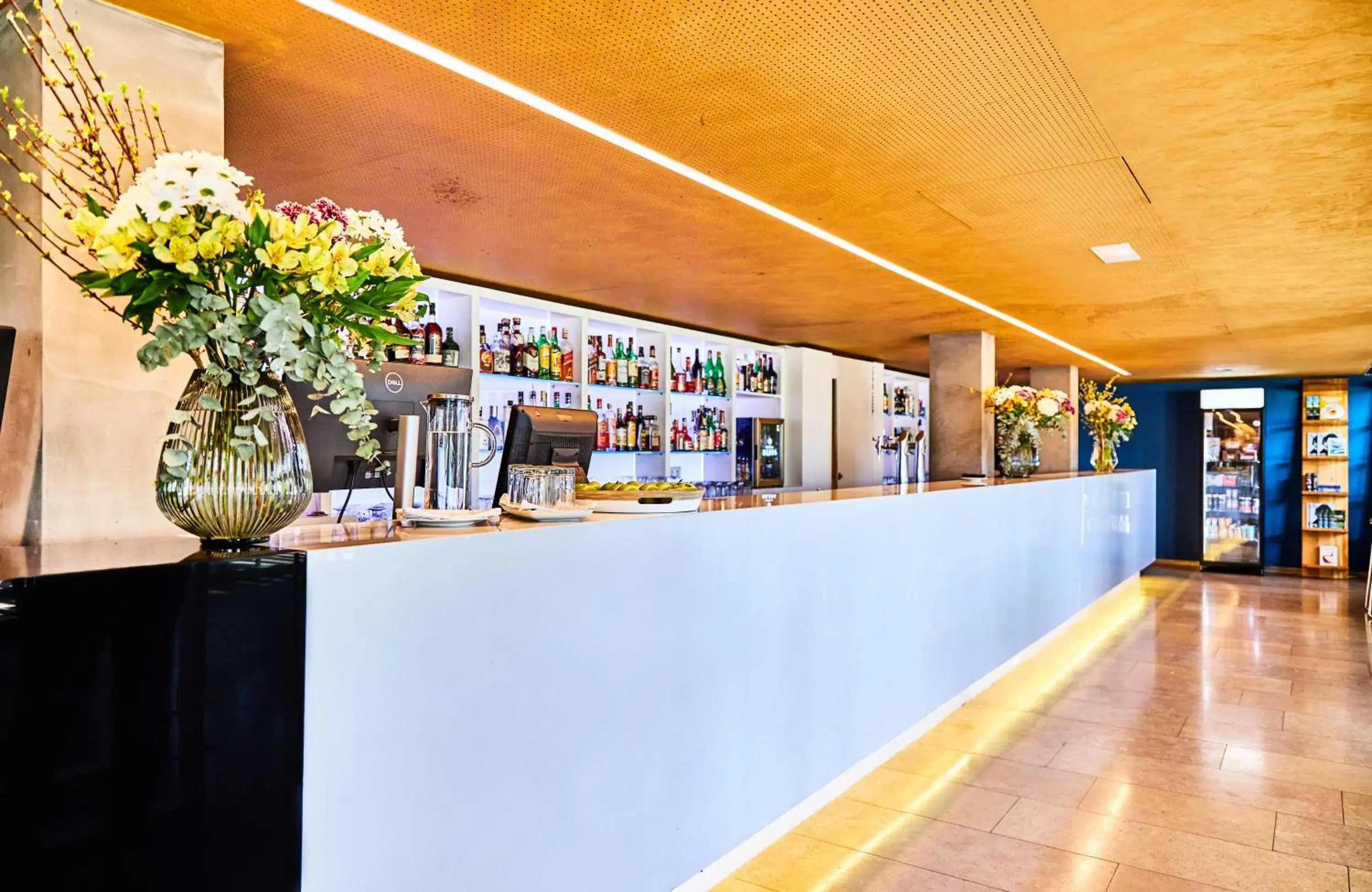 Lounge or bar, Lounge/Bar in Leonardo Boutique Hotel Mallorca Port Portals - Adults only