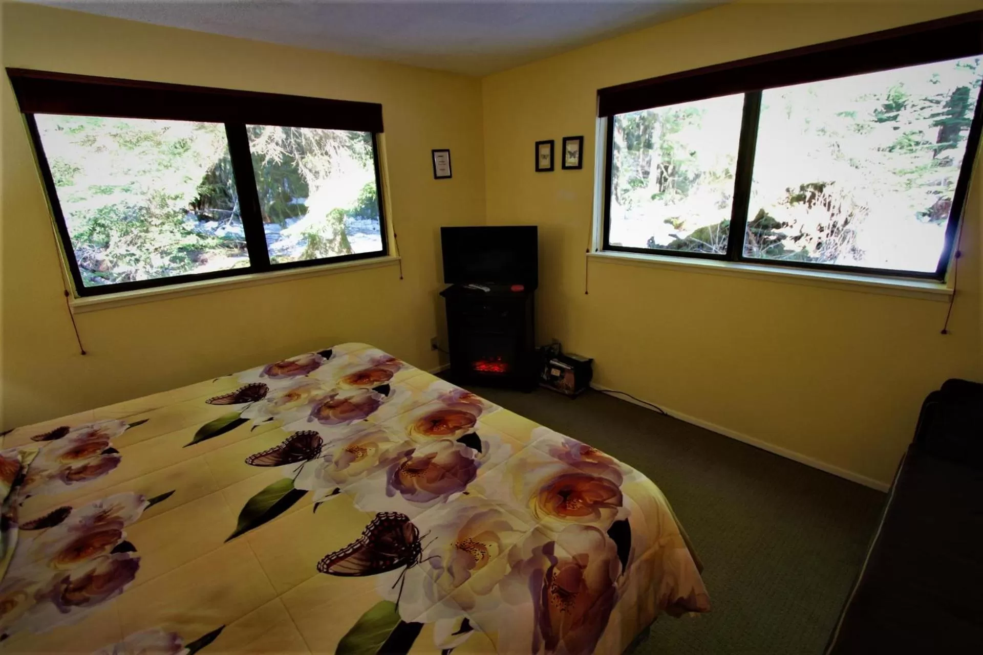 Photo of the whole room, Bed in Alexander's Lodge