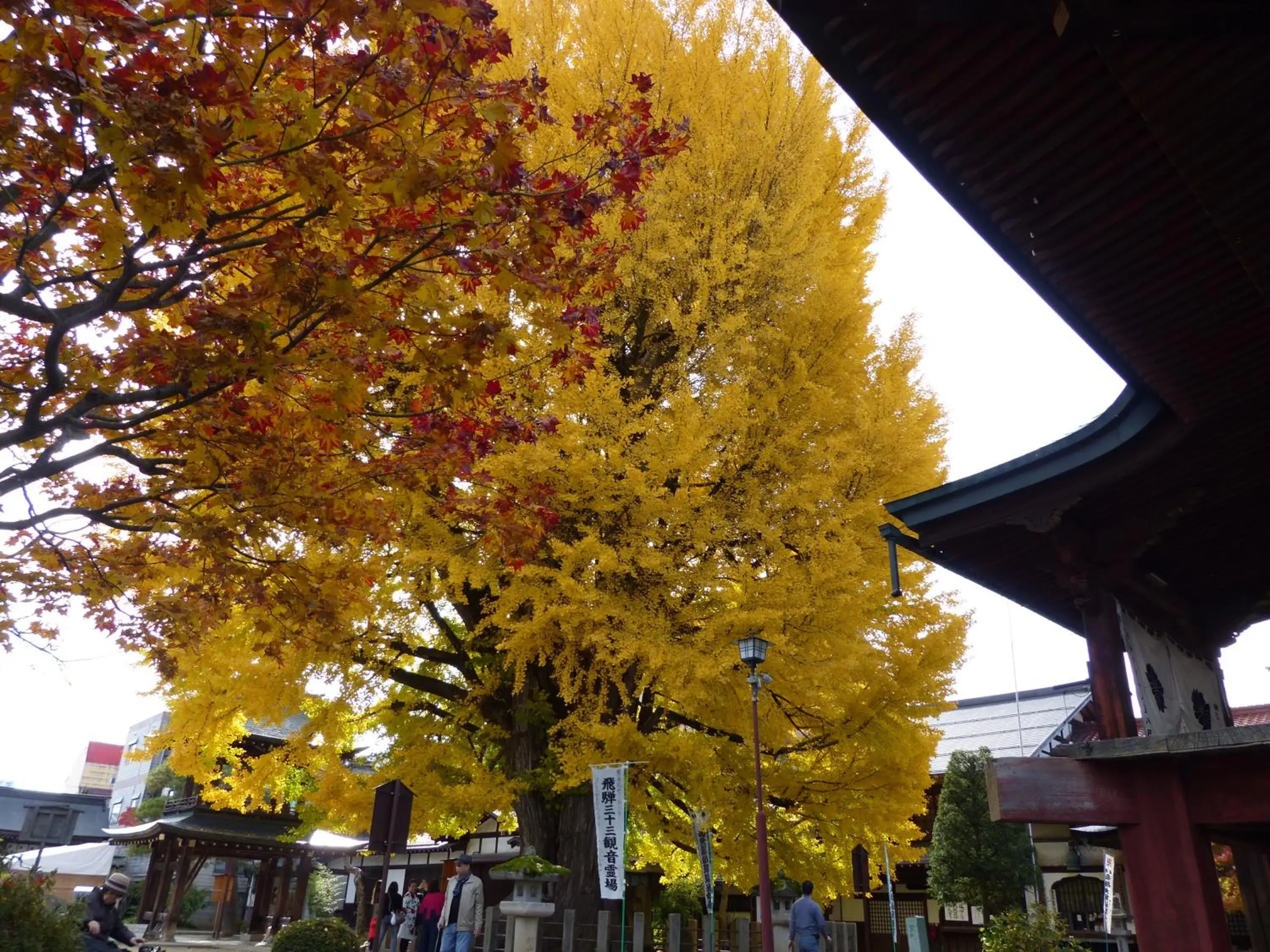 Nearby landmark in Minshuku Kuwataniya Ryokan