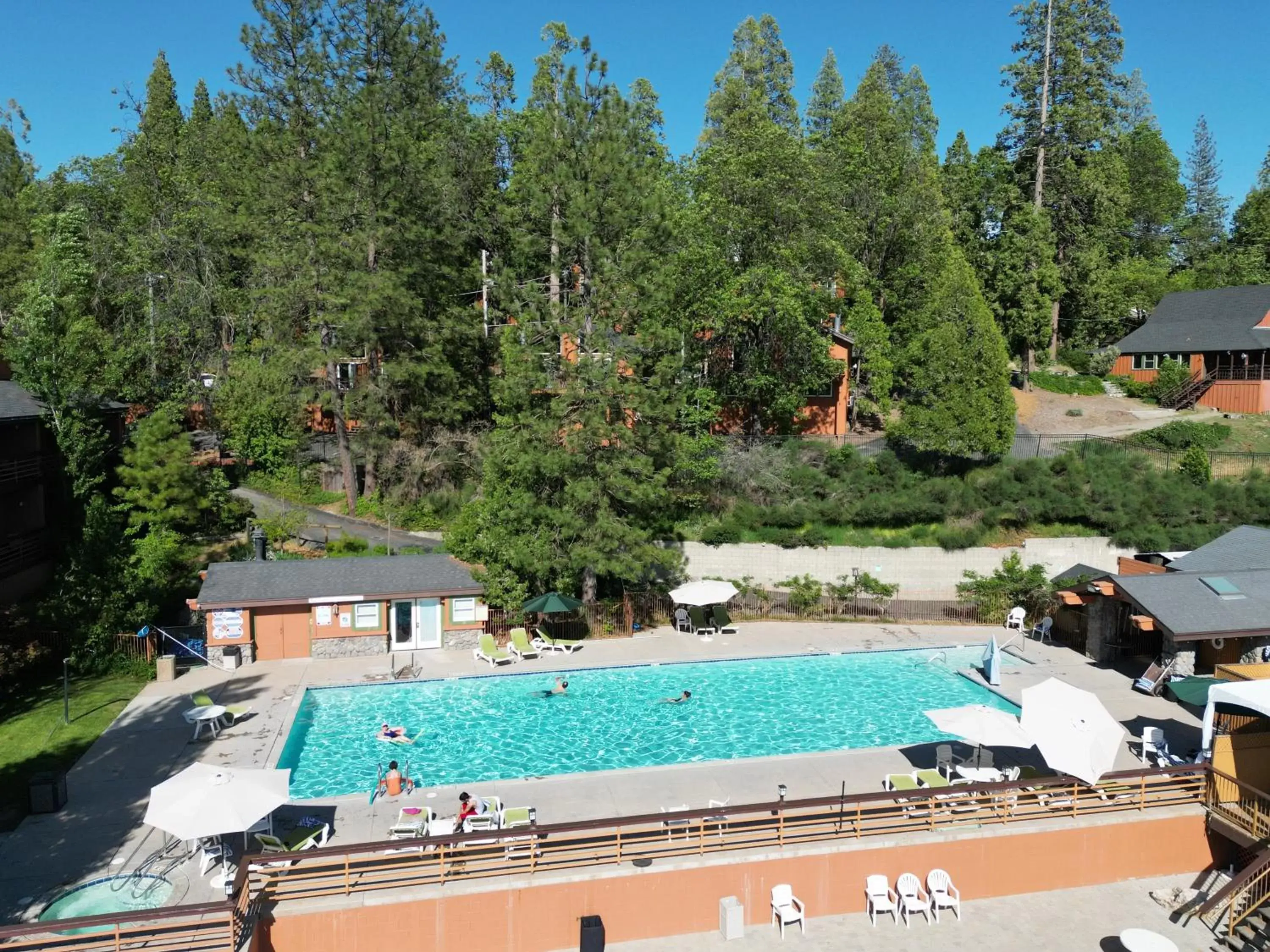 Swimming pool in The Pines Resort & Conference Center Swimming pool in The Pines Resort & Conference Center