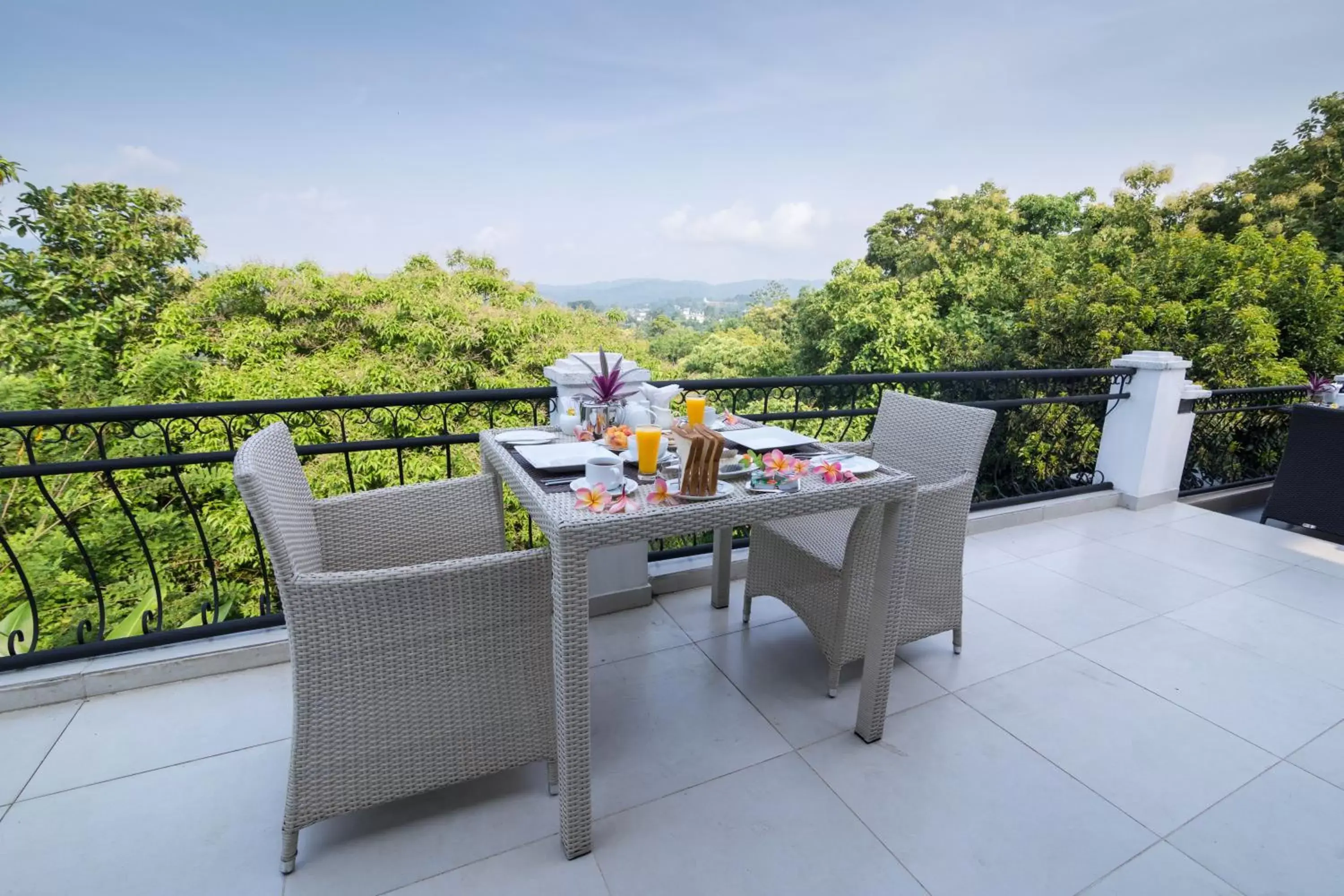 Balcony/Terrace in Elegant Hotel