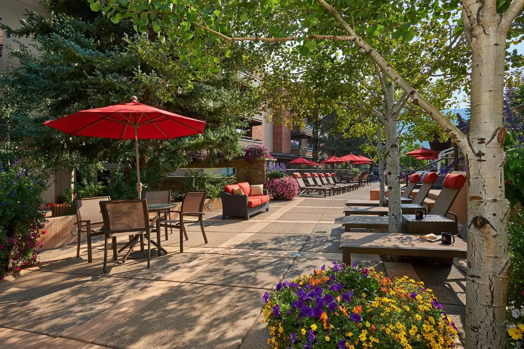Summer, Restaurant/Places to Eat in Aspen Square Condominium Hotel