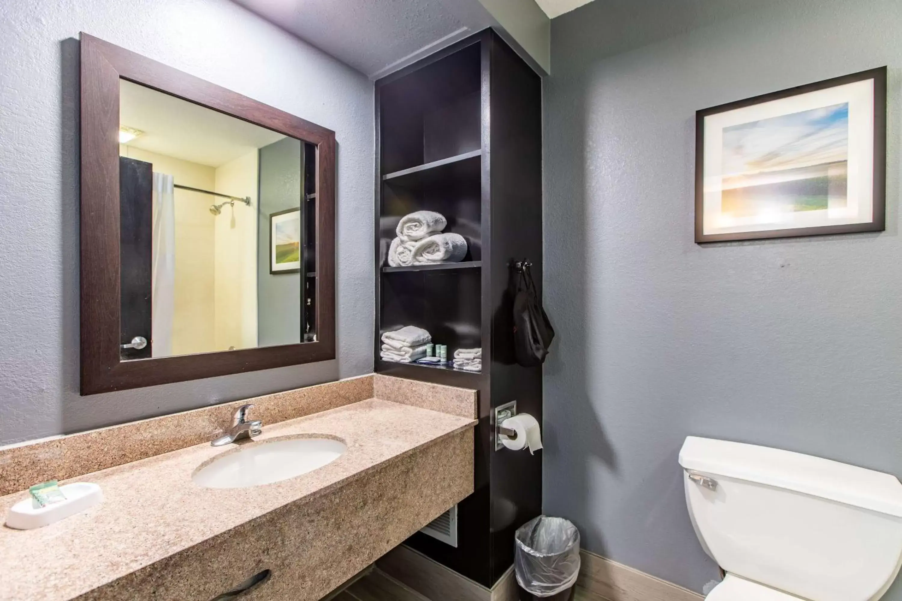Bathroom in Best Western Rochester Hotel Mayo Clinic Area/ St. Mary's