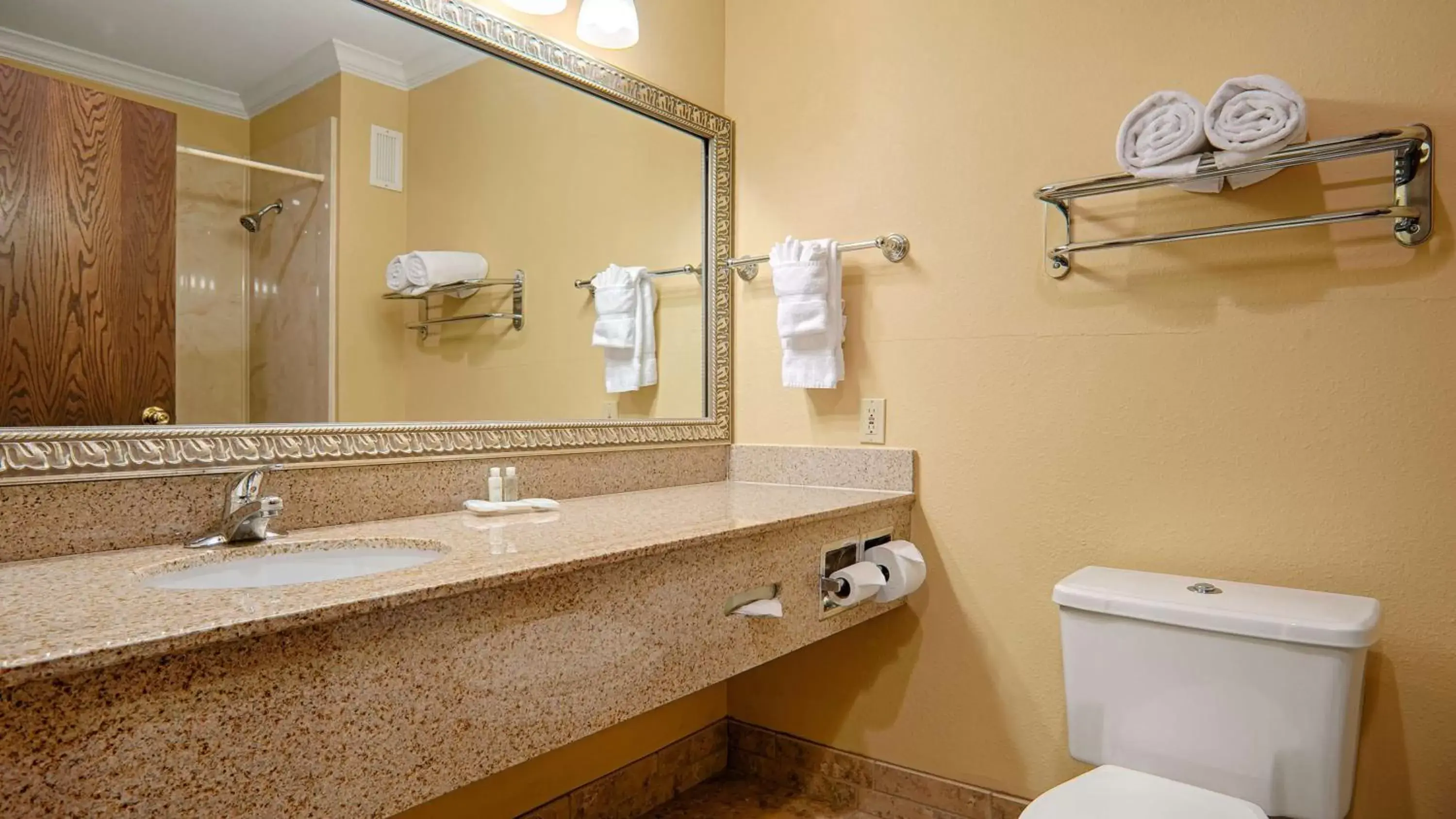 Bathroom in Best Western Plus Southpark Inn & Suites