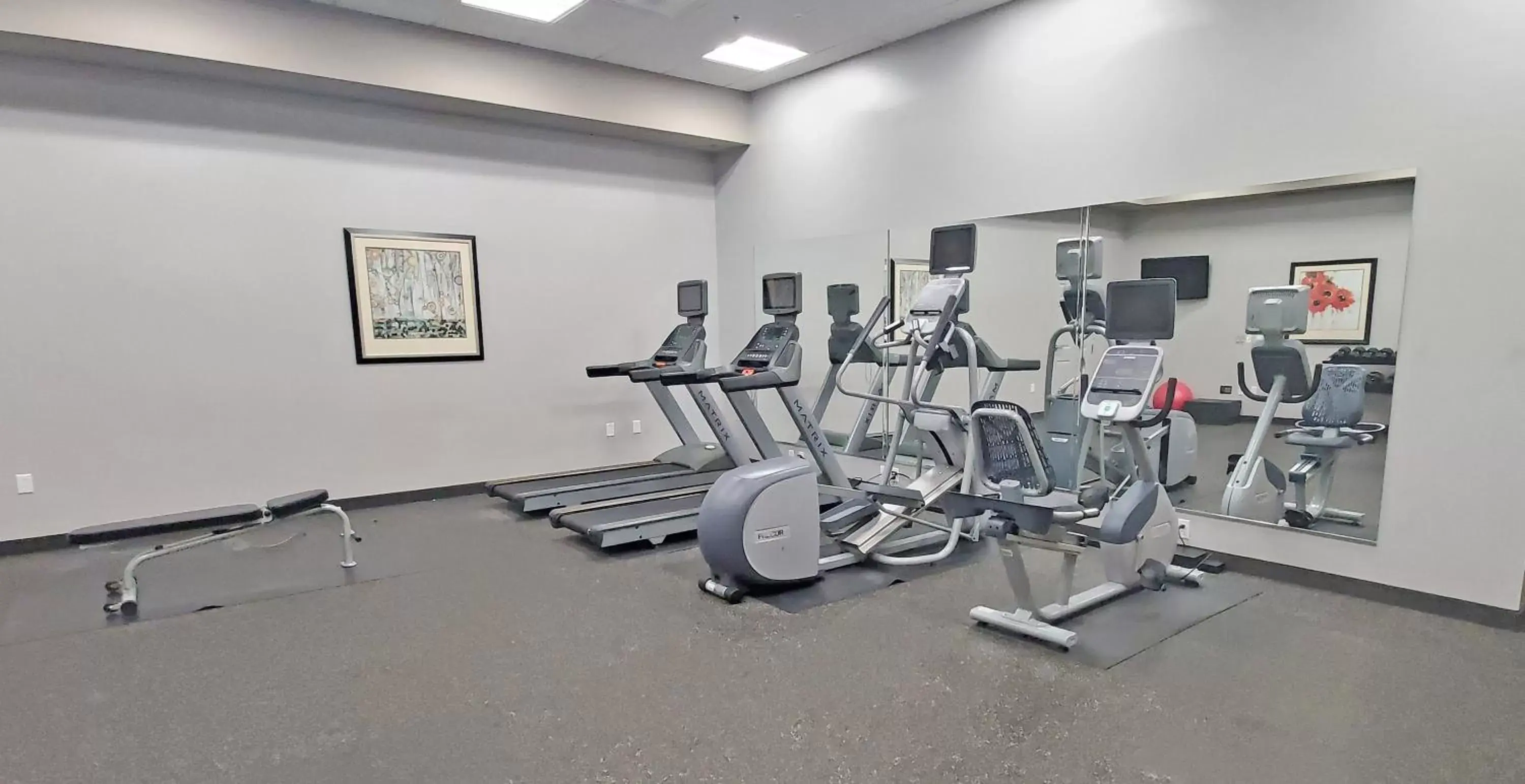 Fitness centre/facilities, Fitness Center/Facilities in Holiday Inn Express Fremont, an IHG Hotel