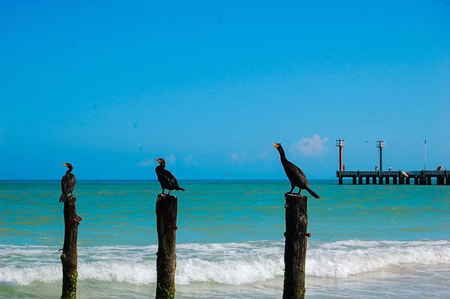 Natural landscape, Beach in Casa Cuyo Hotel