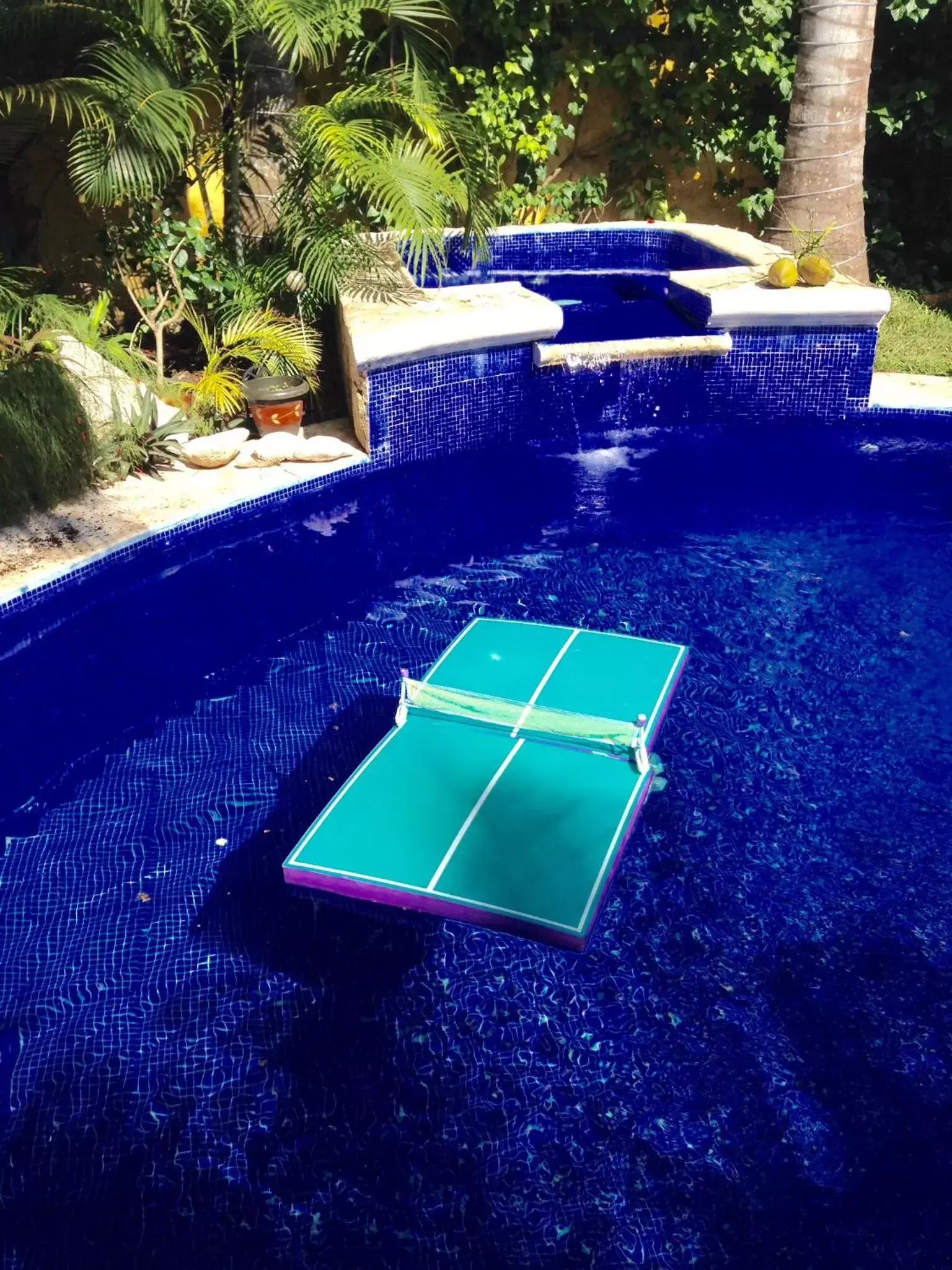 Swimming pool, Table Tennis in Hacienda Boutique B&B and Spa Solo Adultos