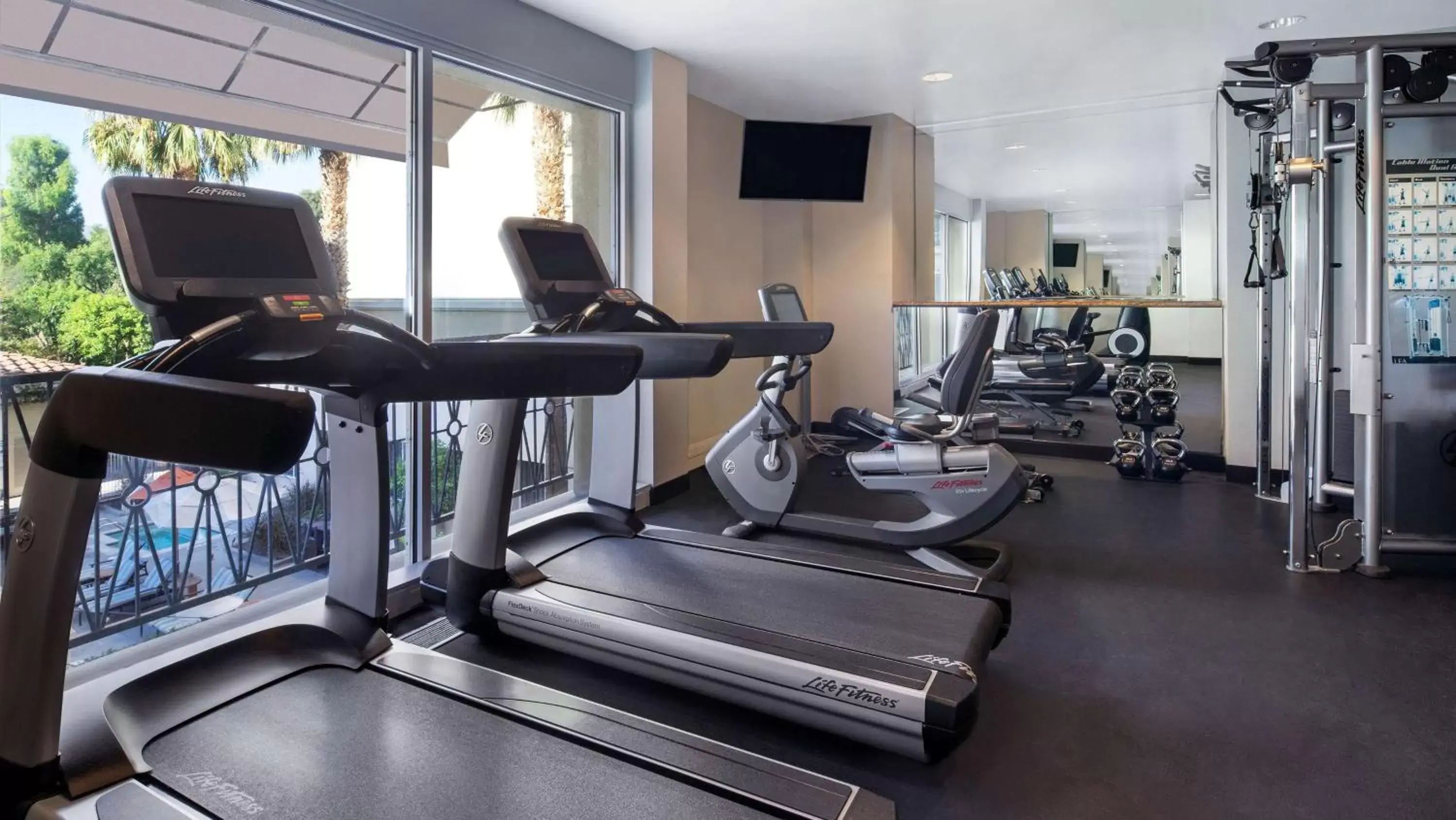 Fitness centre/facilities, Fitness Center/Facilities in Hyatt Regency Valencia