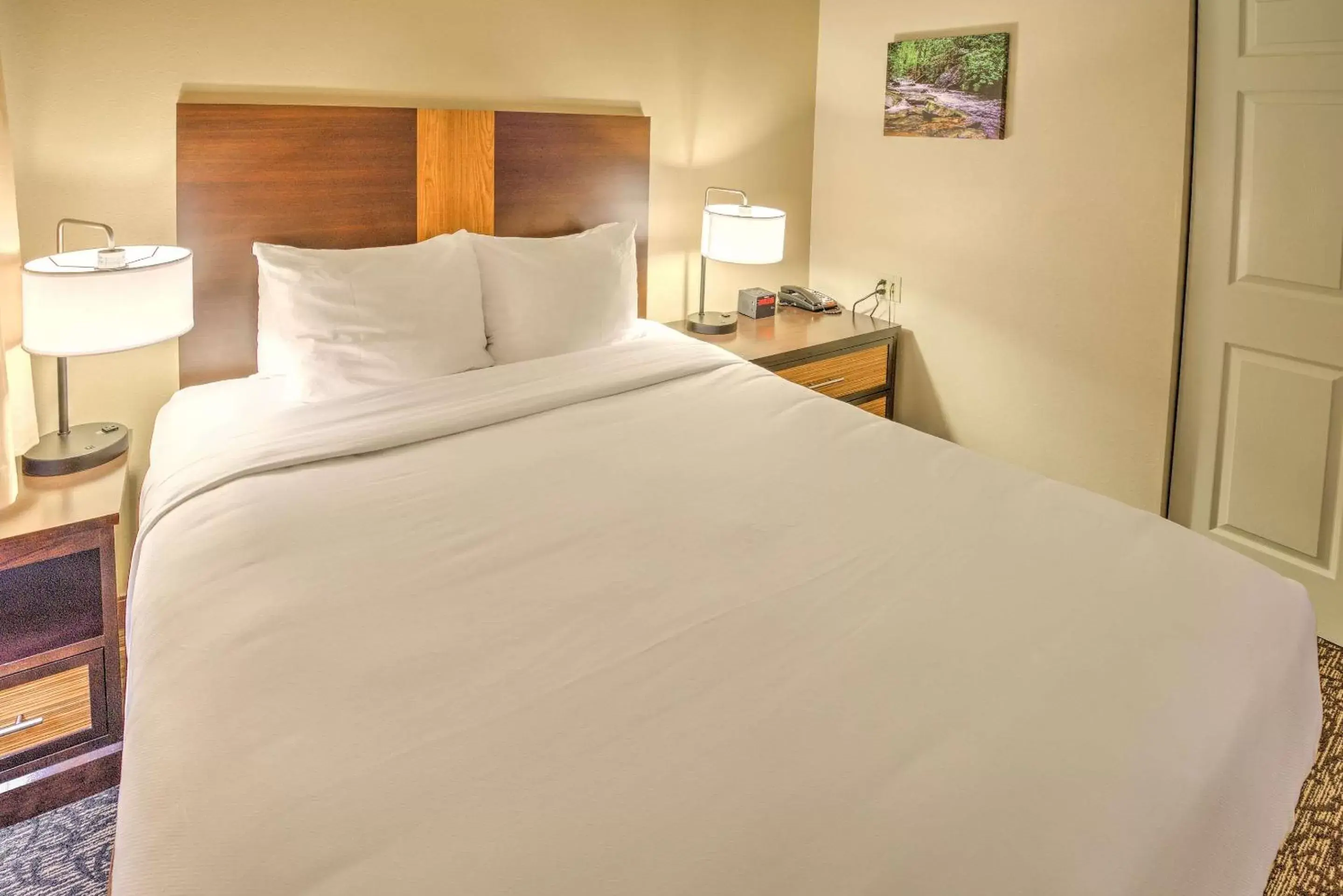 Photo of the whole room, Bed in LeConte Hotel & Convention Center, Ascend Hotel Collection