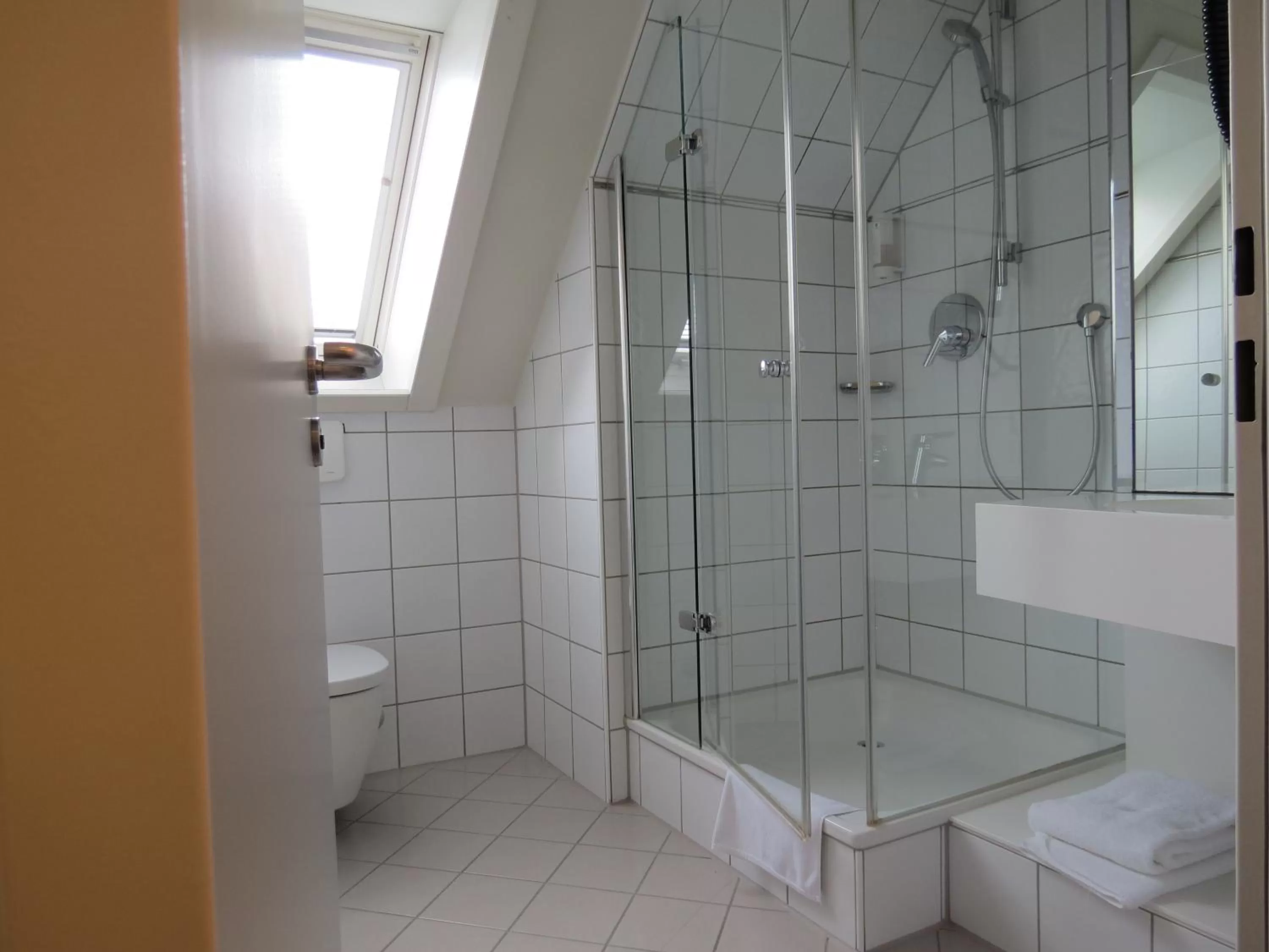 Shower in Comfor Hotel Ulm City