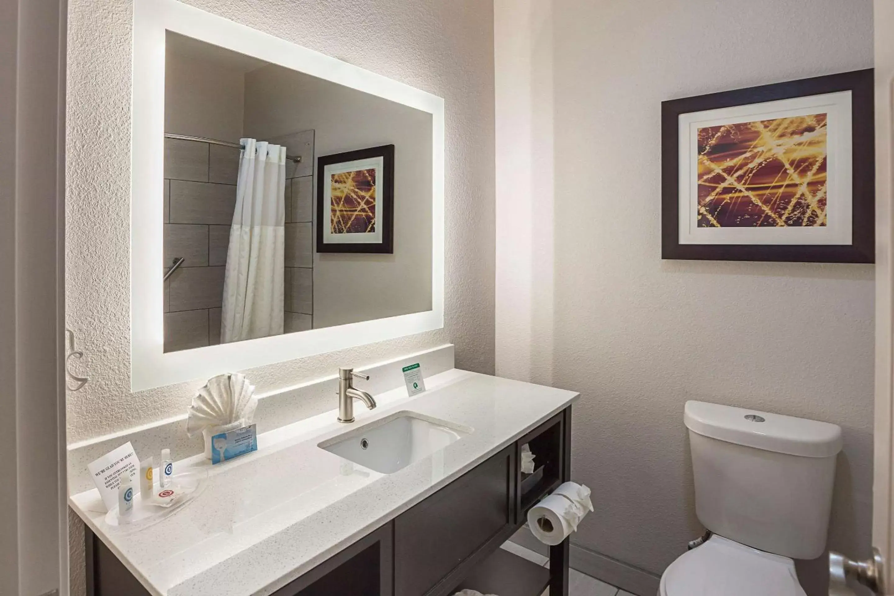 Bathroom in Comfort Suites Lewisville