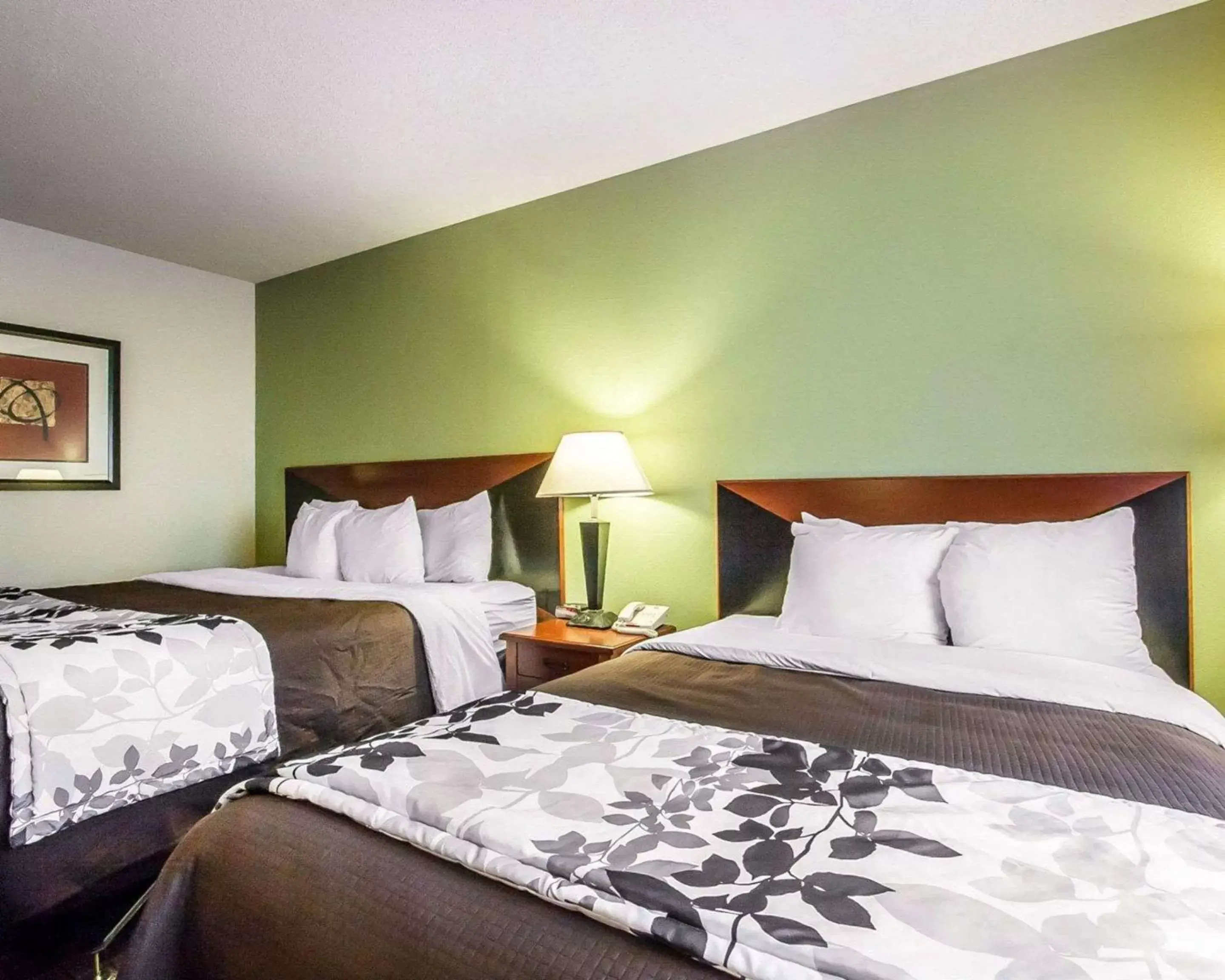Photo of the whole room, Bed in Sleep Inn & Suites Hattiesburg