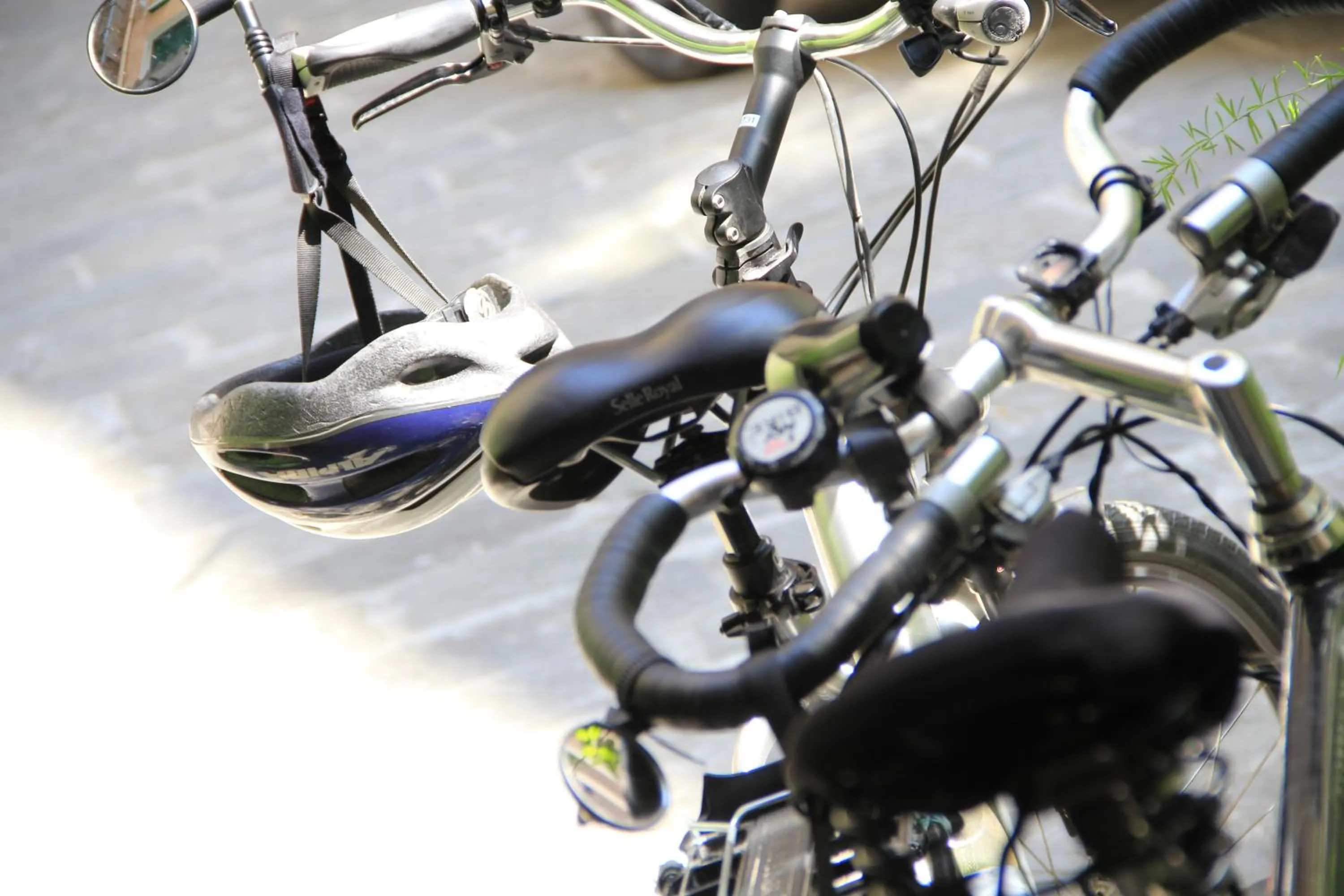 Facade/entrance in Hotel Bologna