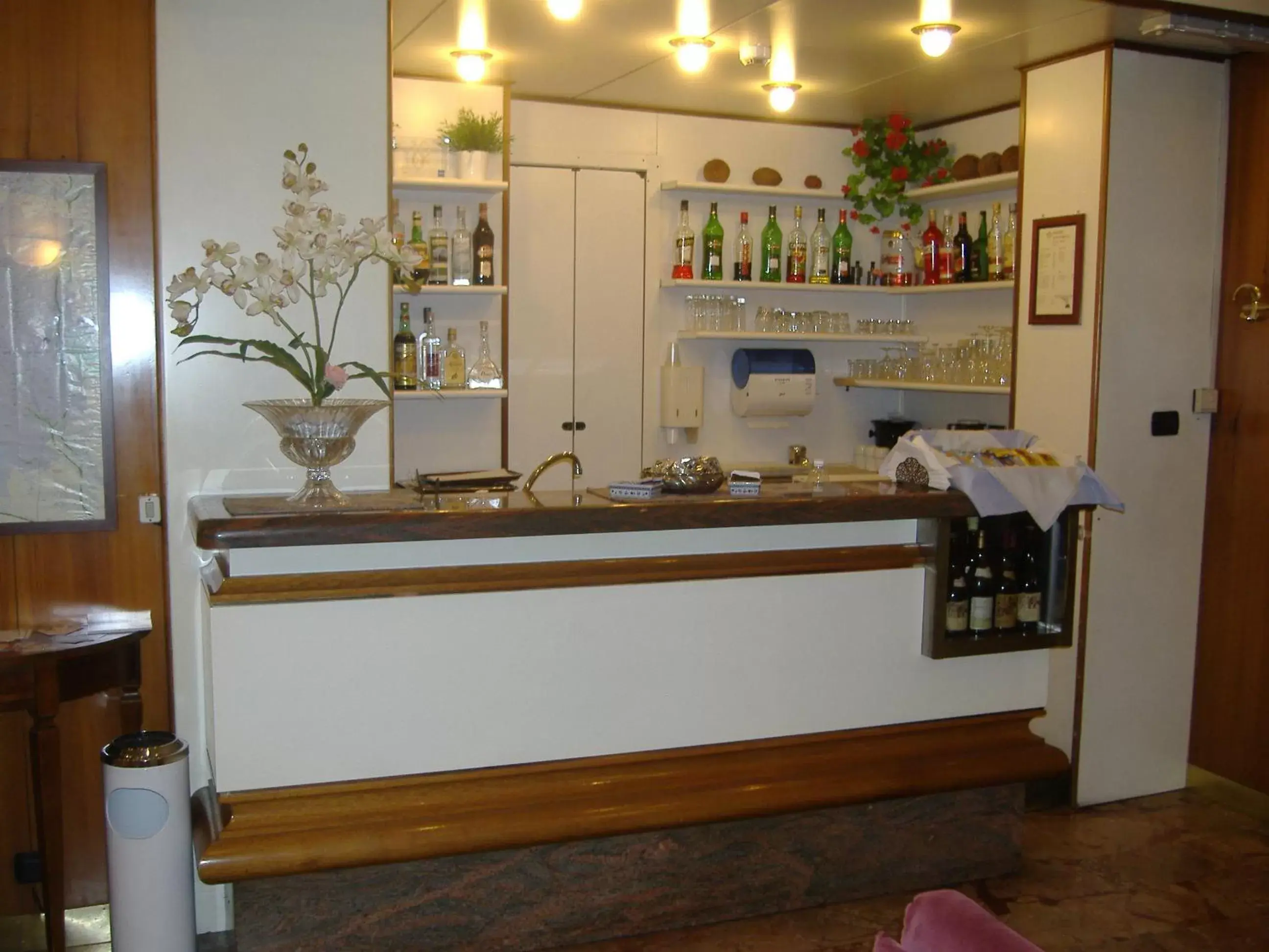 Lounge or bar, Lounge/Bar in Hotel Mayorca