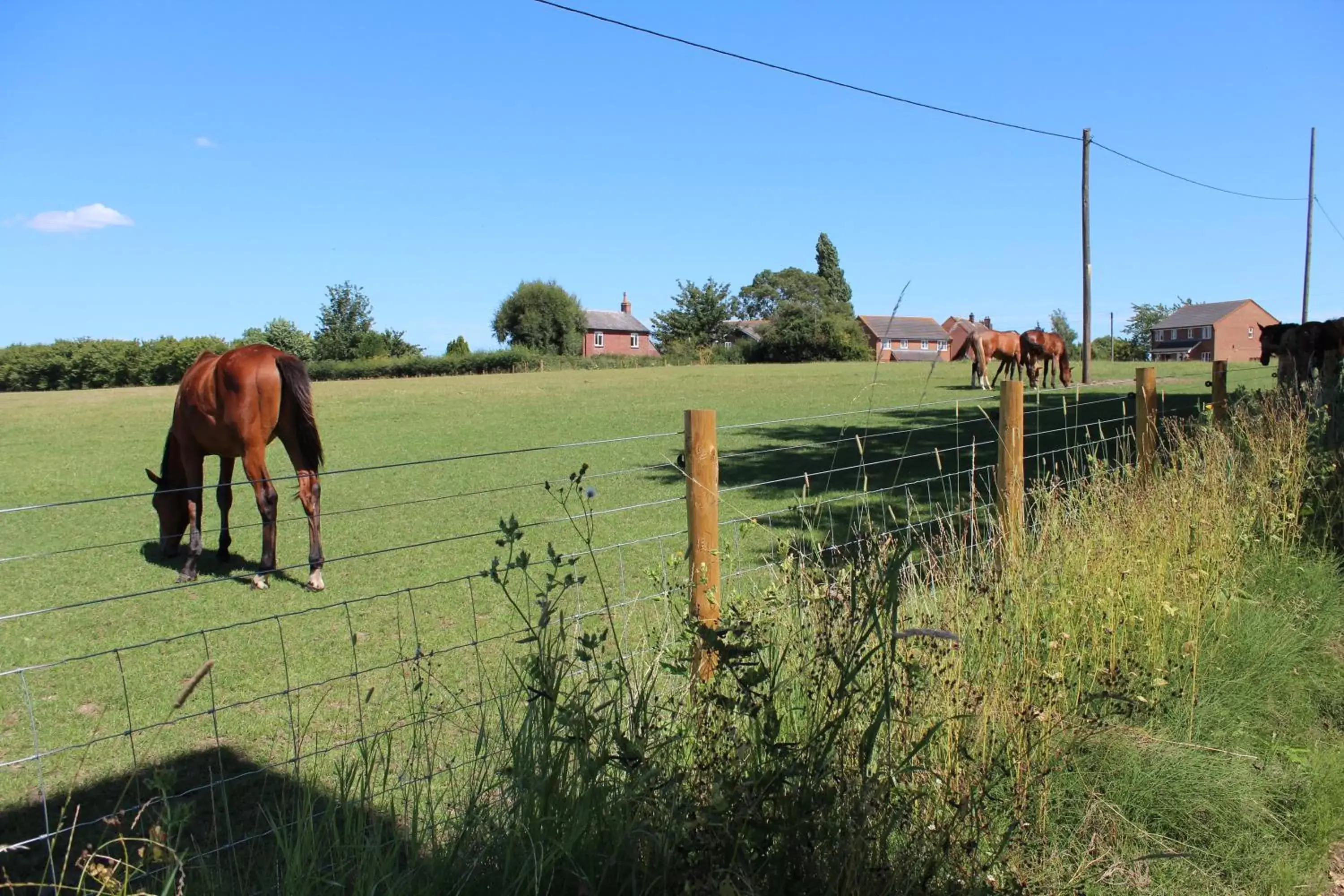 Molland Manor House Bed & Breakfast