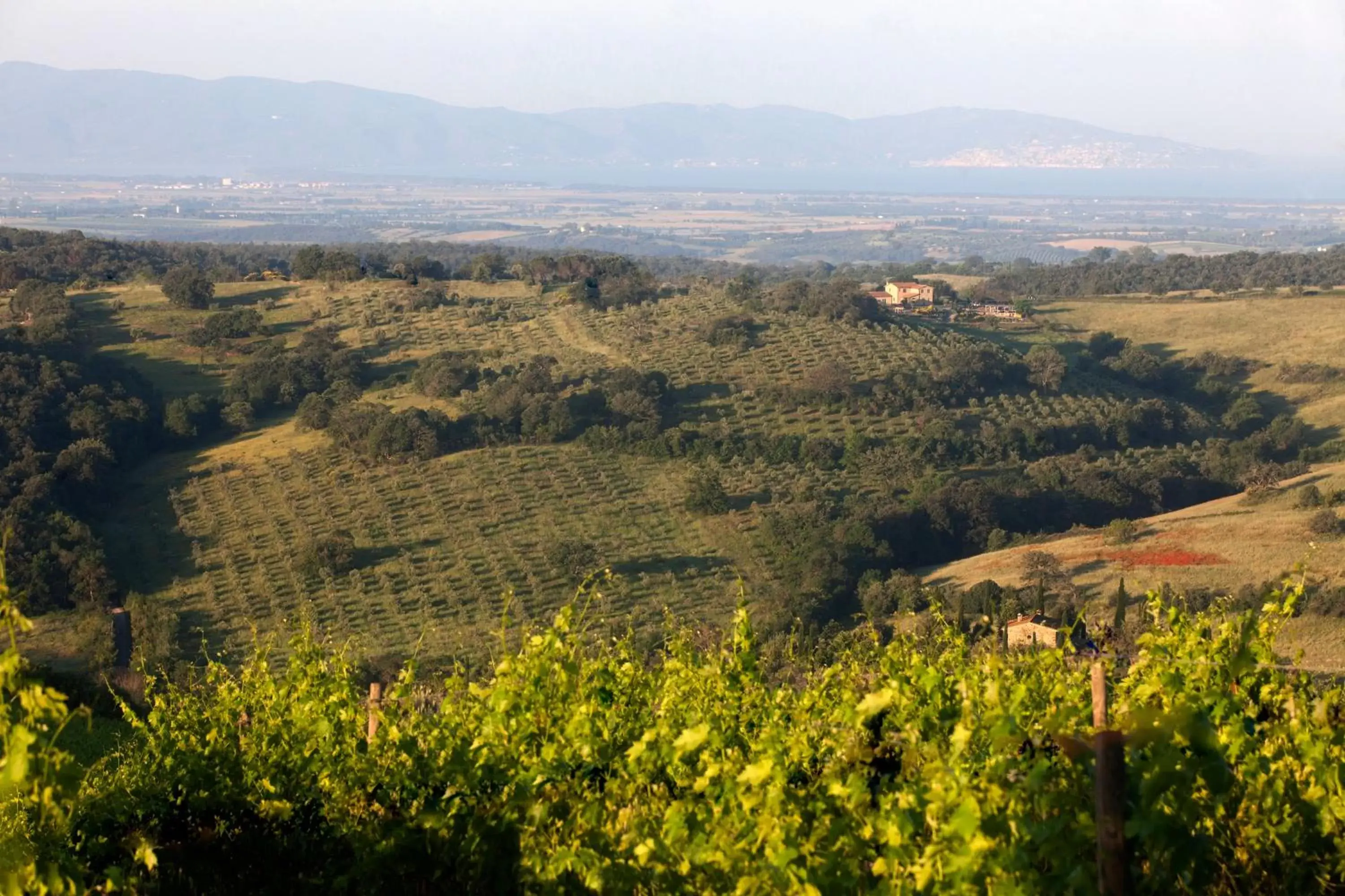 Sunrise, Bird's-eye View in Casale Sterpeti