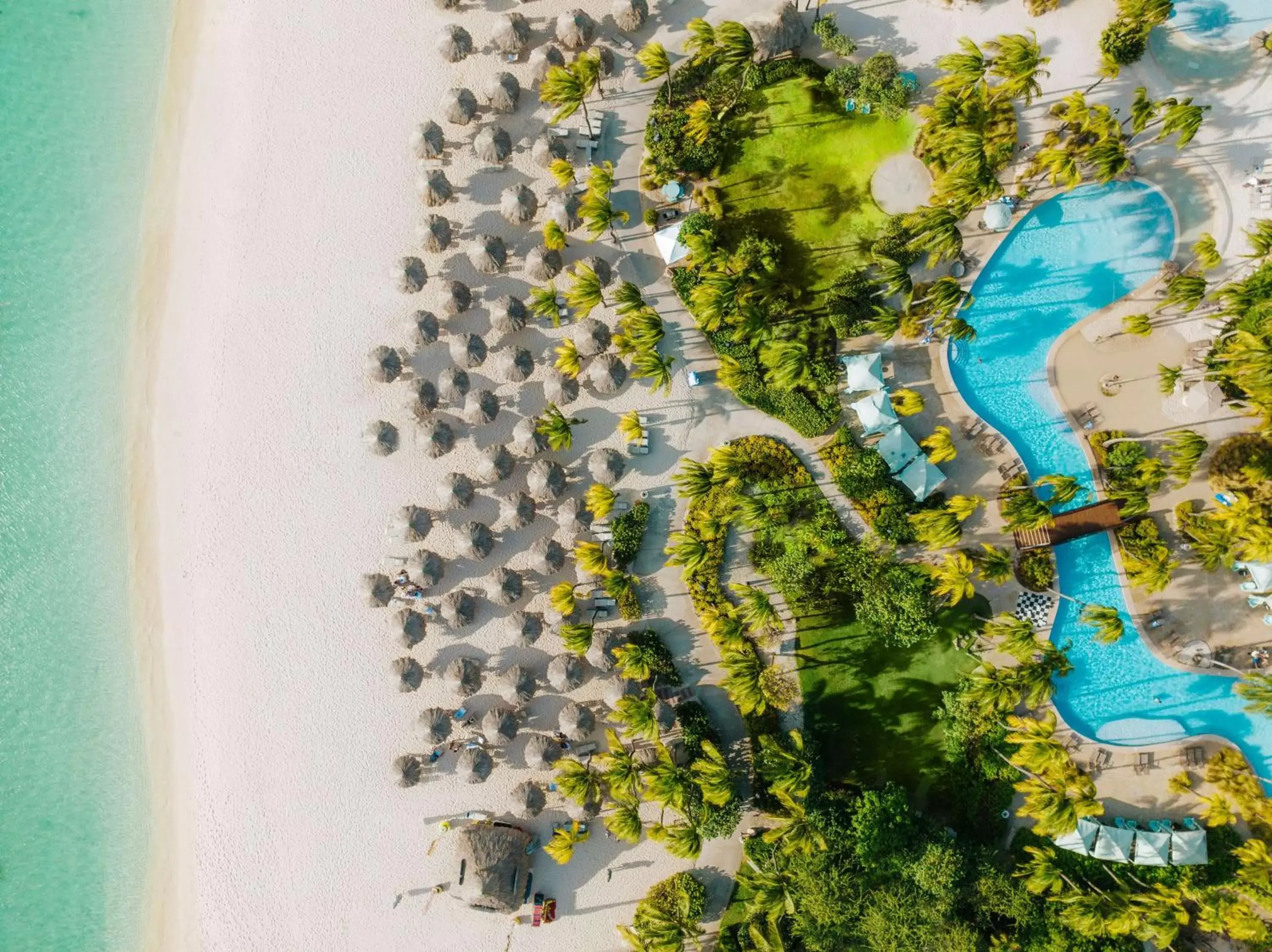 Beach, Bird's-eye View in Hilton Aruba Caribbean Resort & Casino
