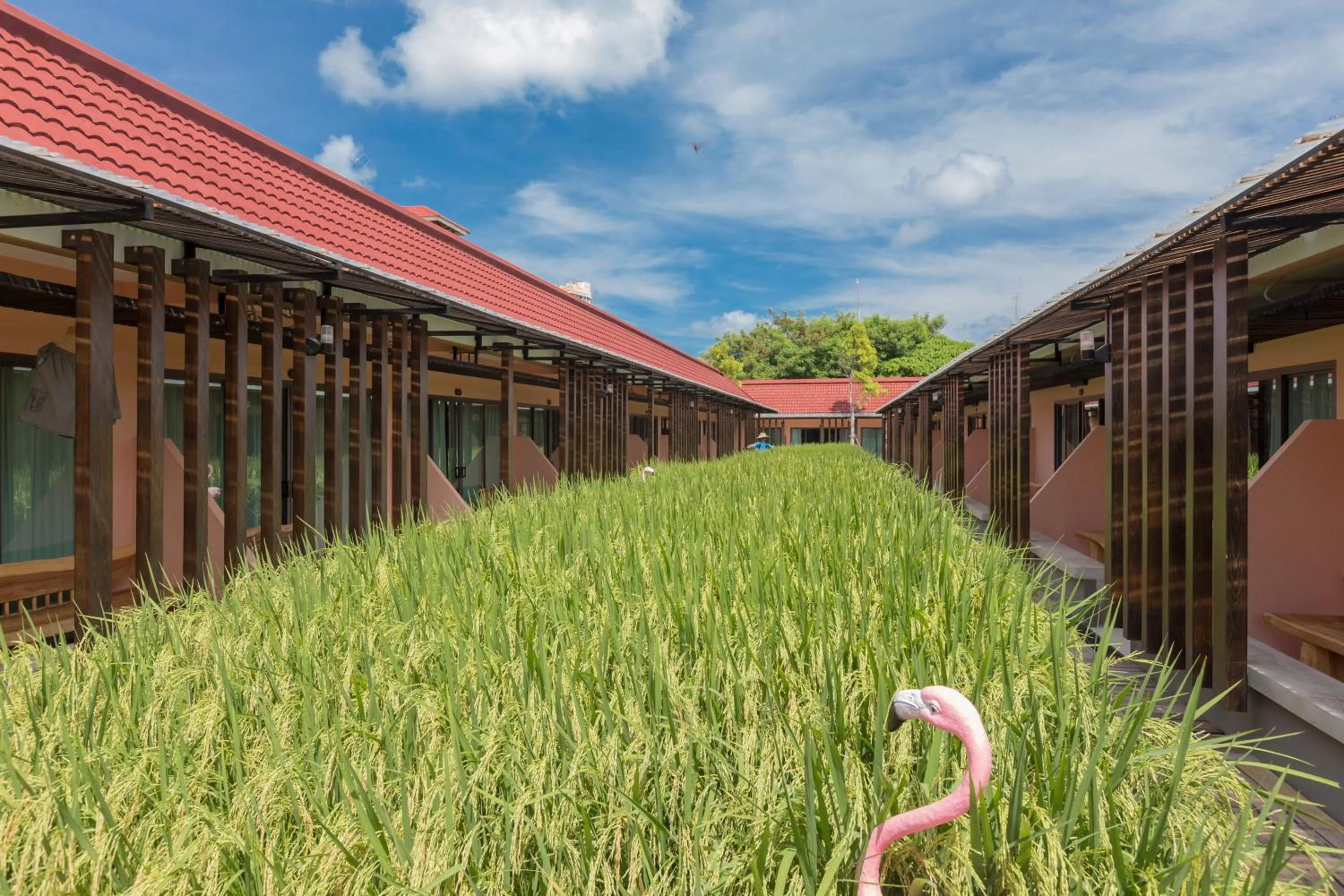 Garden view in Naina Resort & Spa - SHA Extra Plus