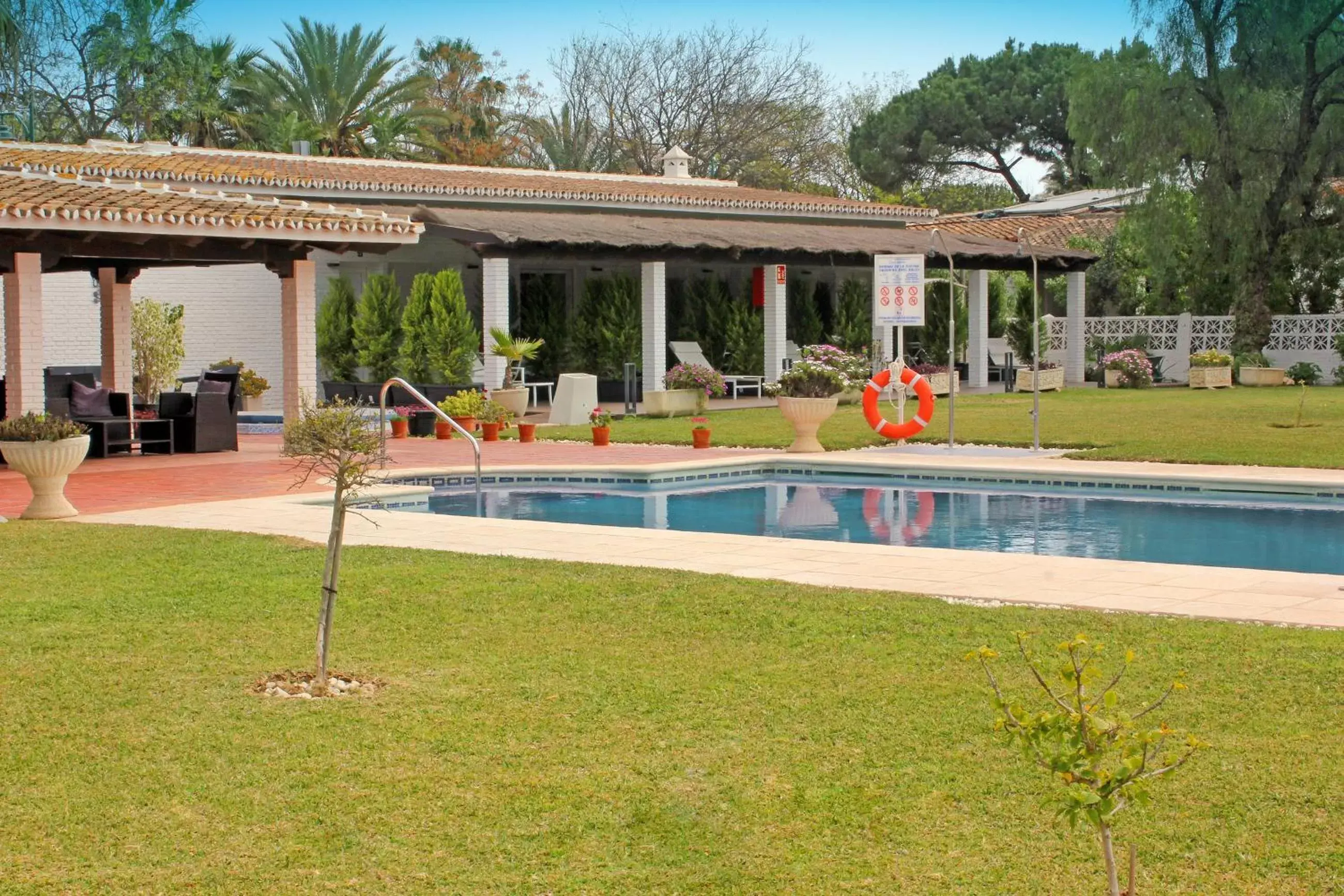 Garden, Swimming Pool in Hotel Malaga Picasso