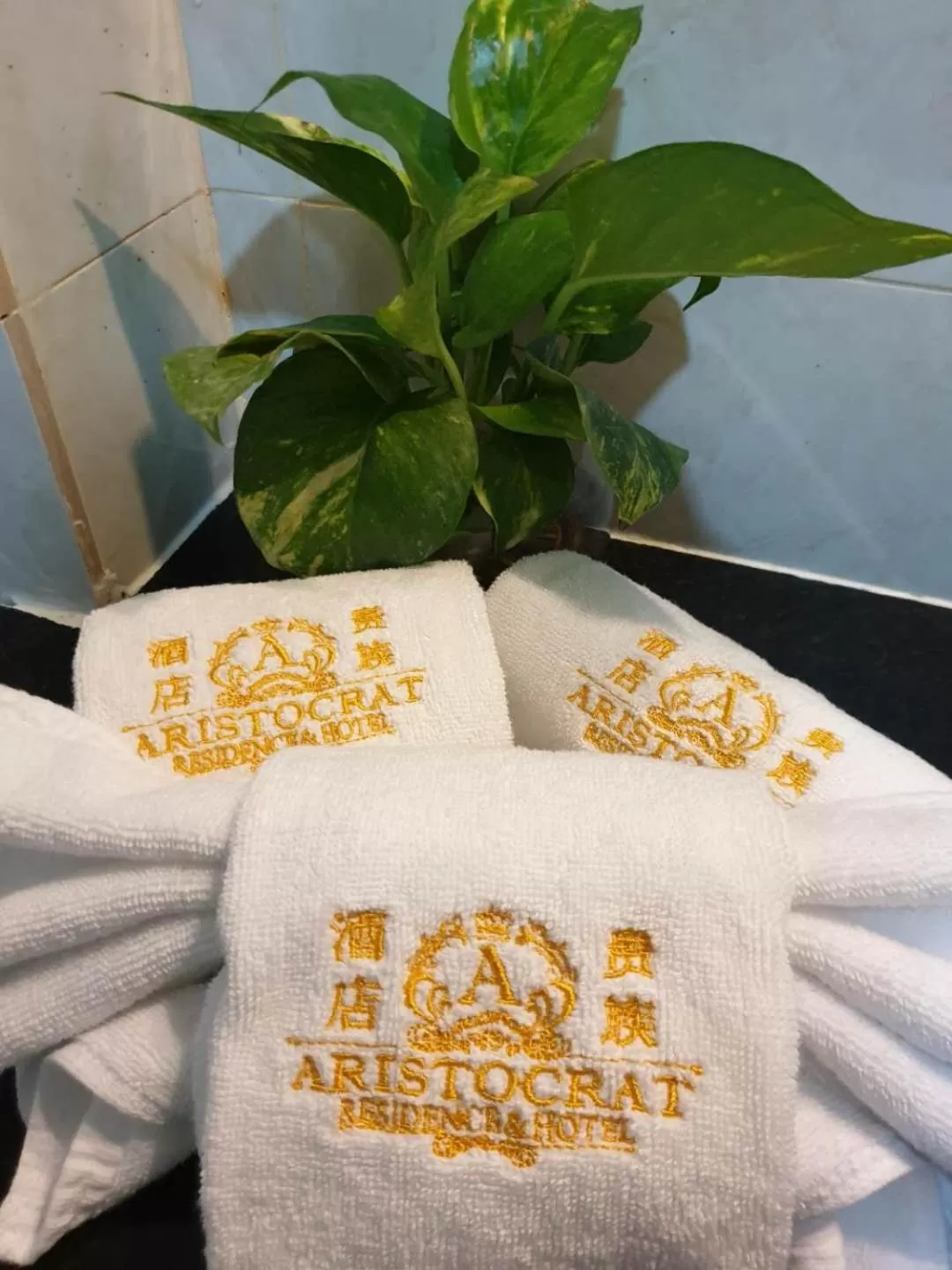 Property logo or sign in Aristocrat Residence & Hotel