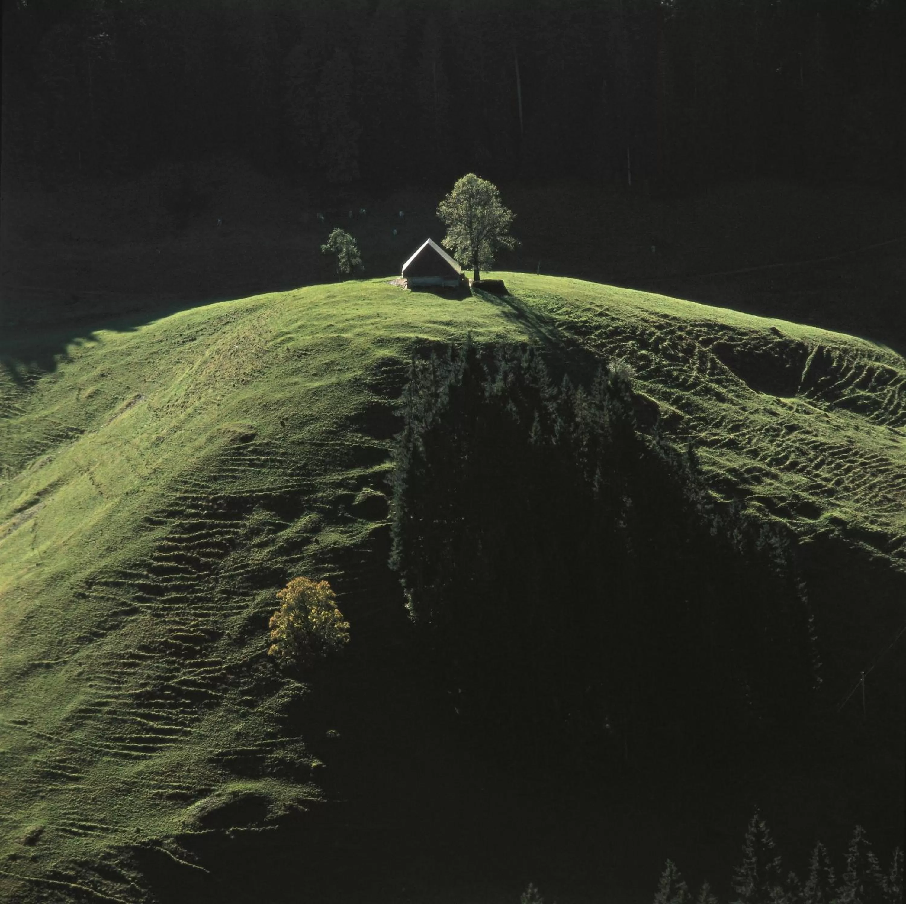 Natural landscape in BnB SchlafSchloss