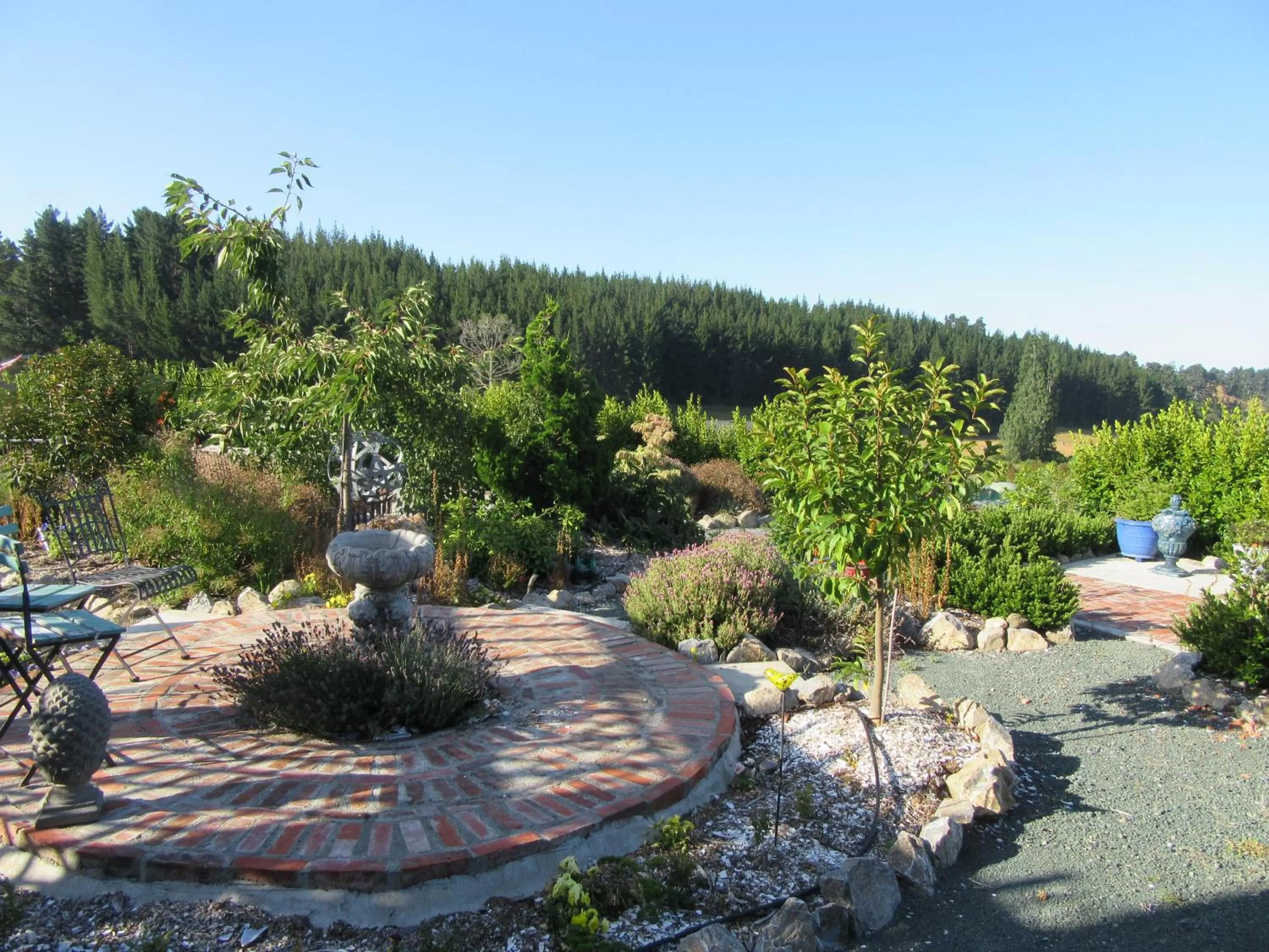 Garden in Redwood Valley B & B