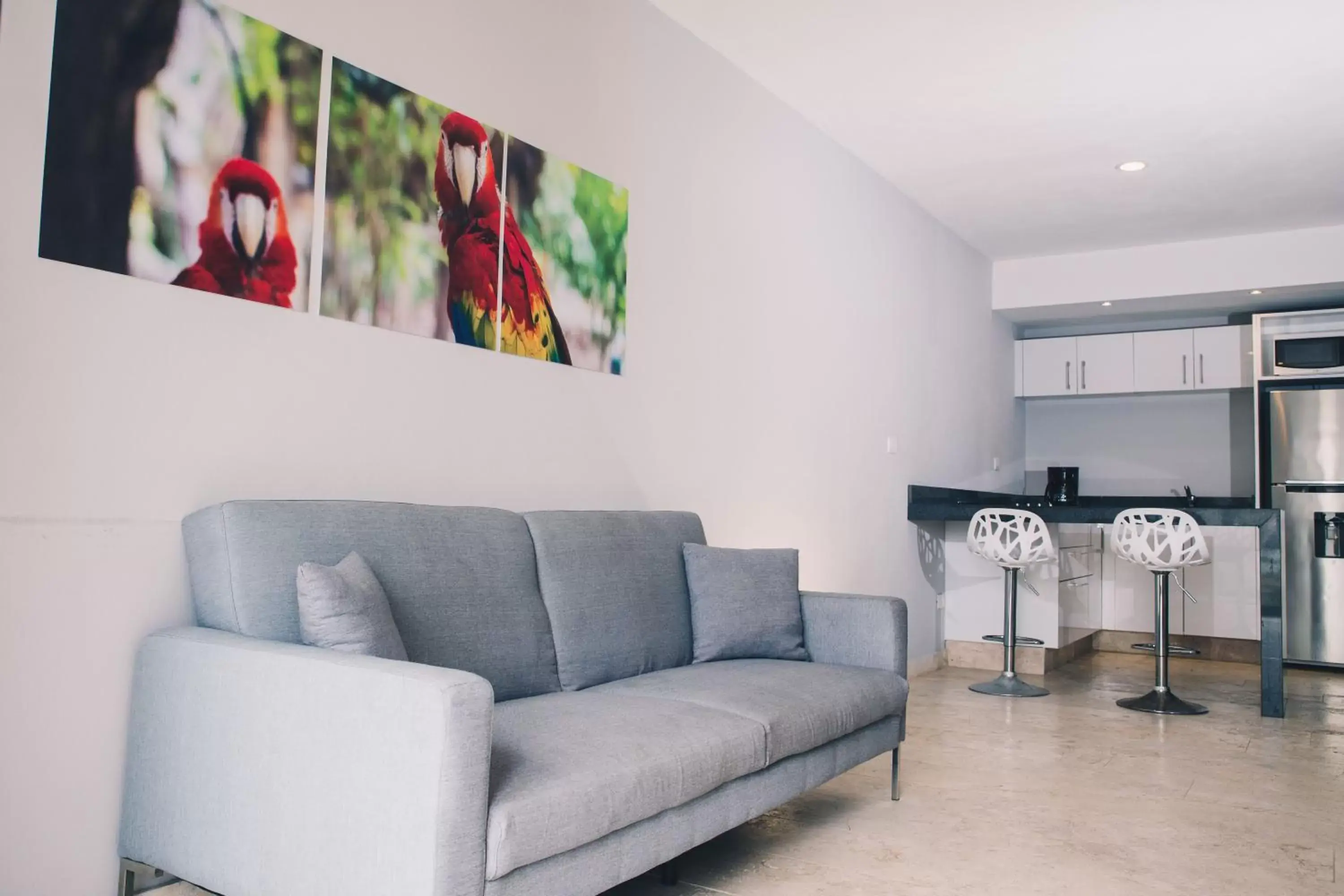 Kitchen or kitchenette, Seating Area in Hotelito del Mar Playa del Carmen