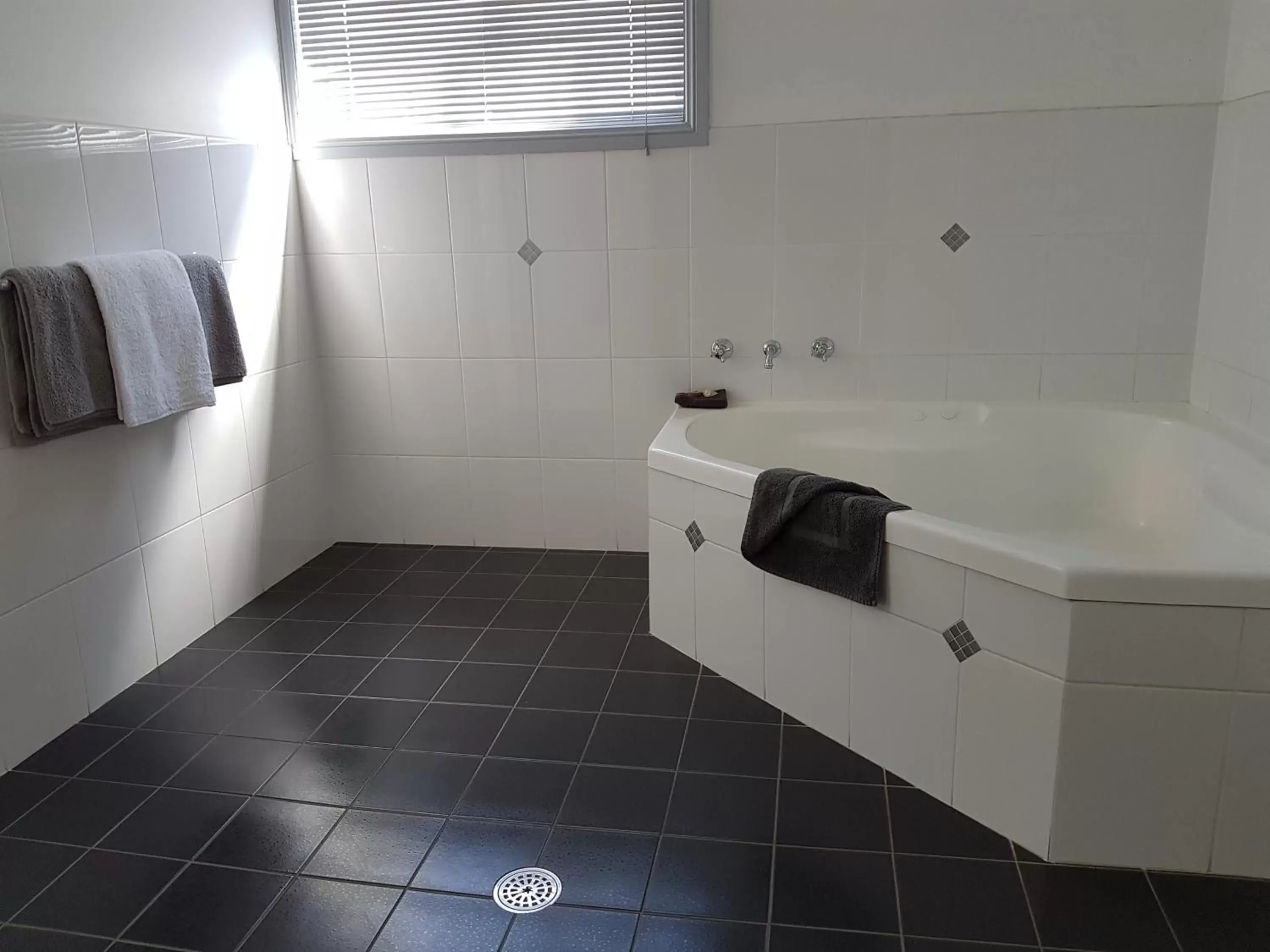 Hot Tub, Bathroom in Swaggers Motor Inn