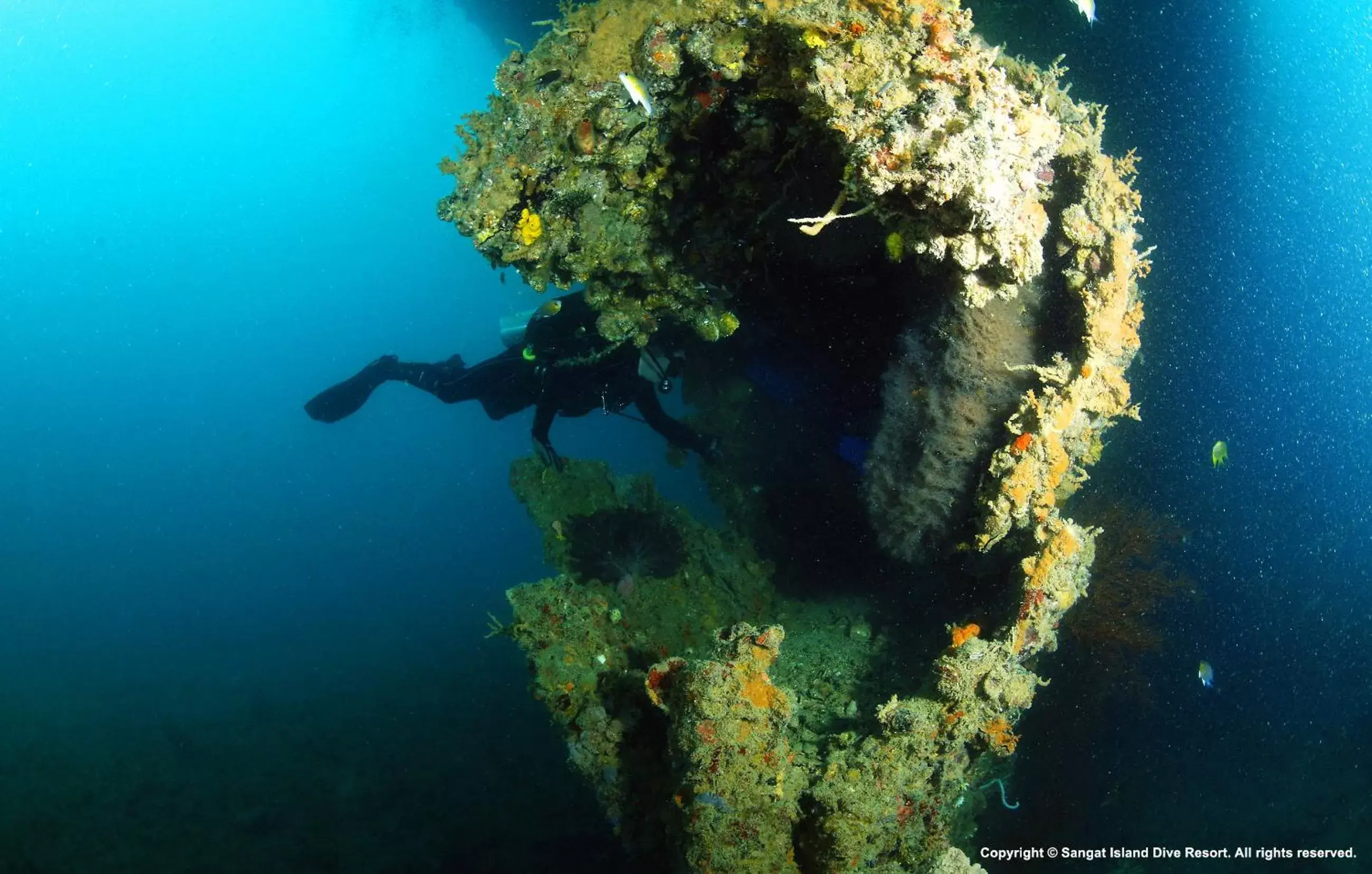 Diving, Bird's-eye View in Sangat Island Dive Resort
