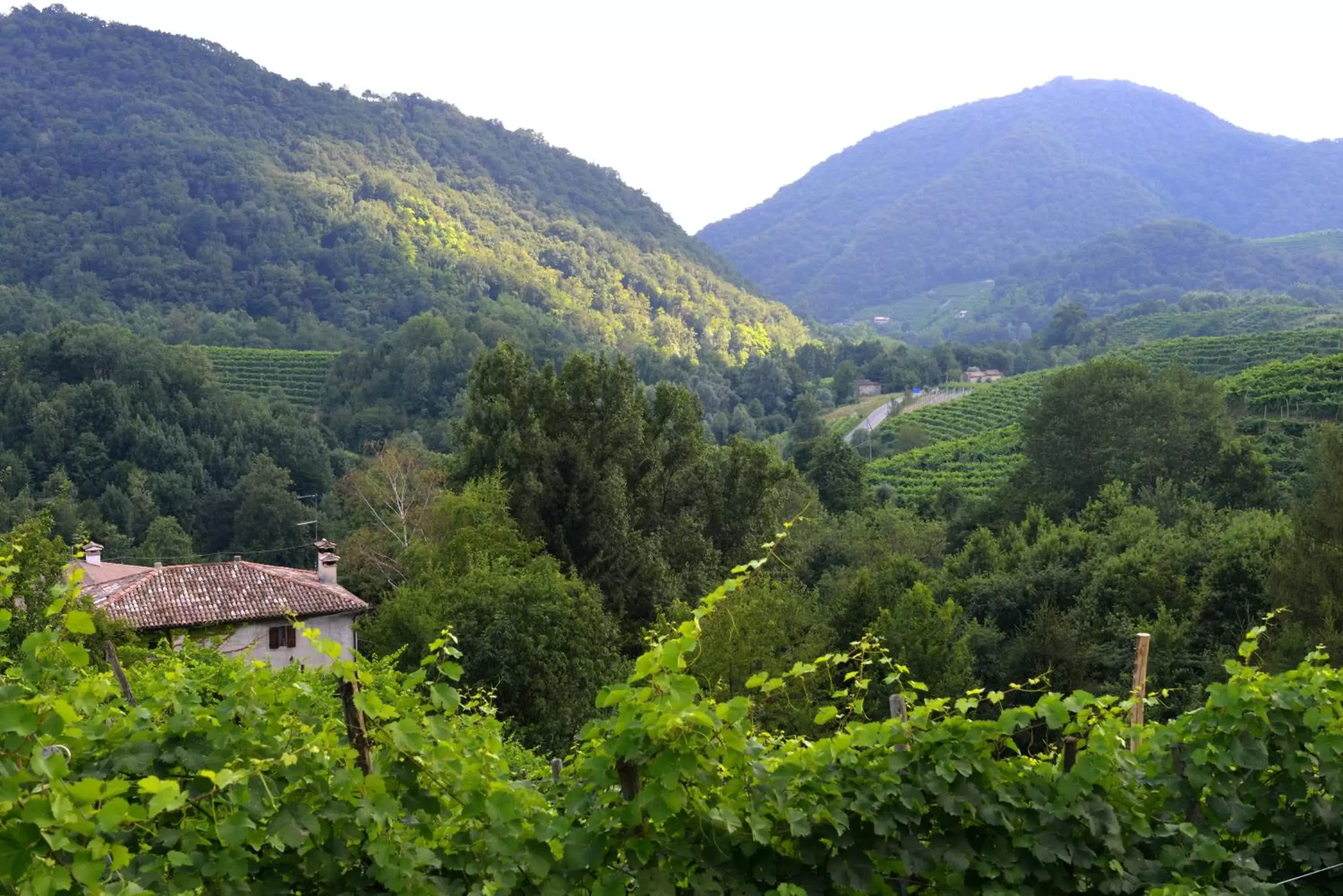 Area and facilities, Mountain View in B&B Casa di Campagna