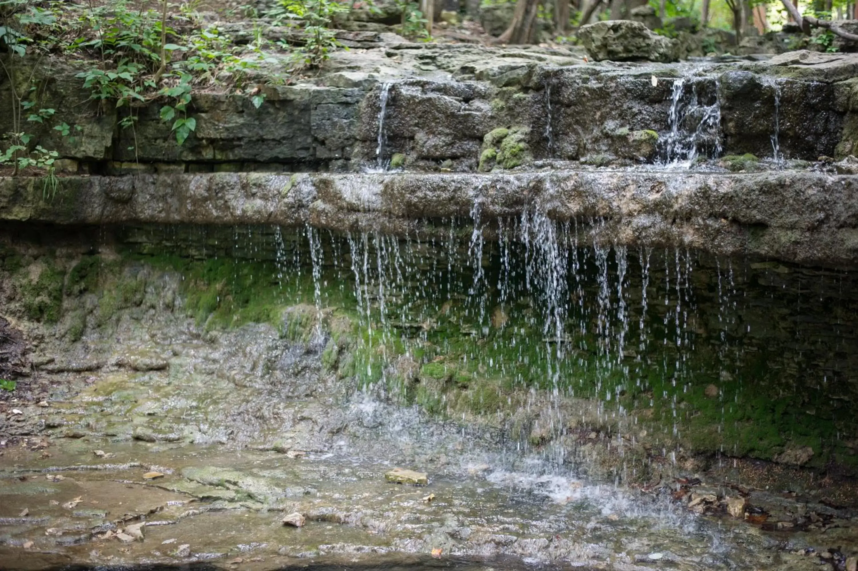 Decorative detail, Natural Landscape in Cabins at Green Mountain, Trademark Collection by Wyndham