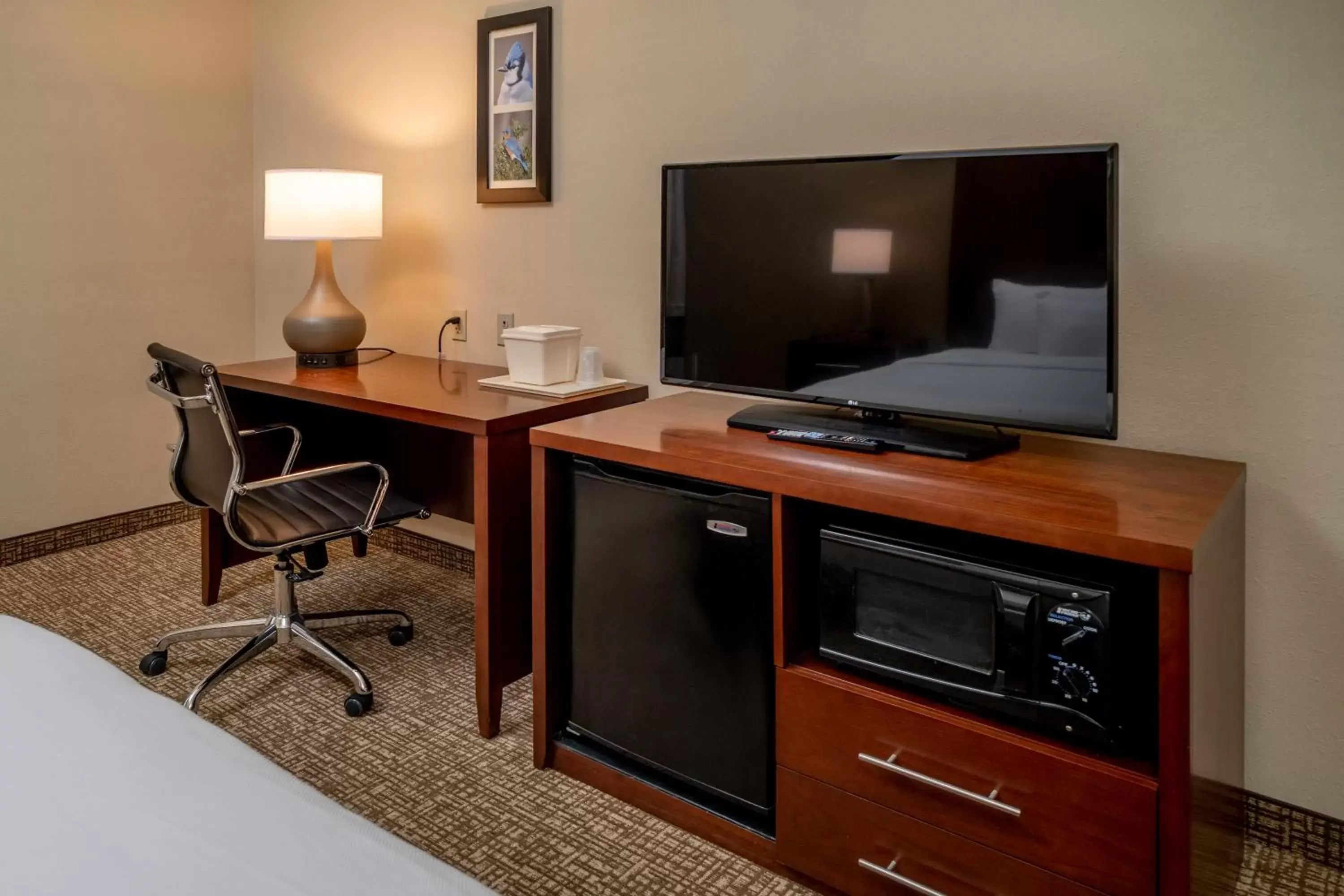 King Room - Accessible/Non-Smoking in Comfort Inn & Suites Grundy