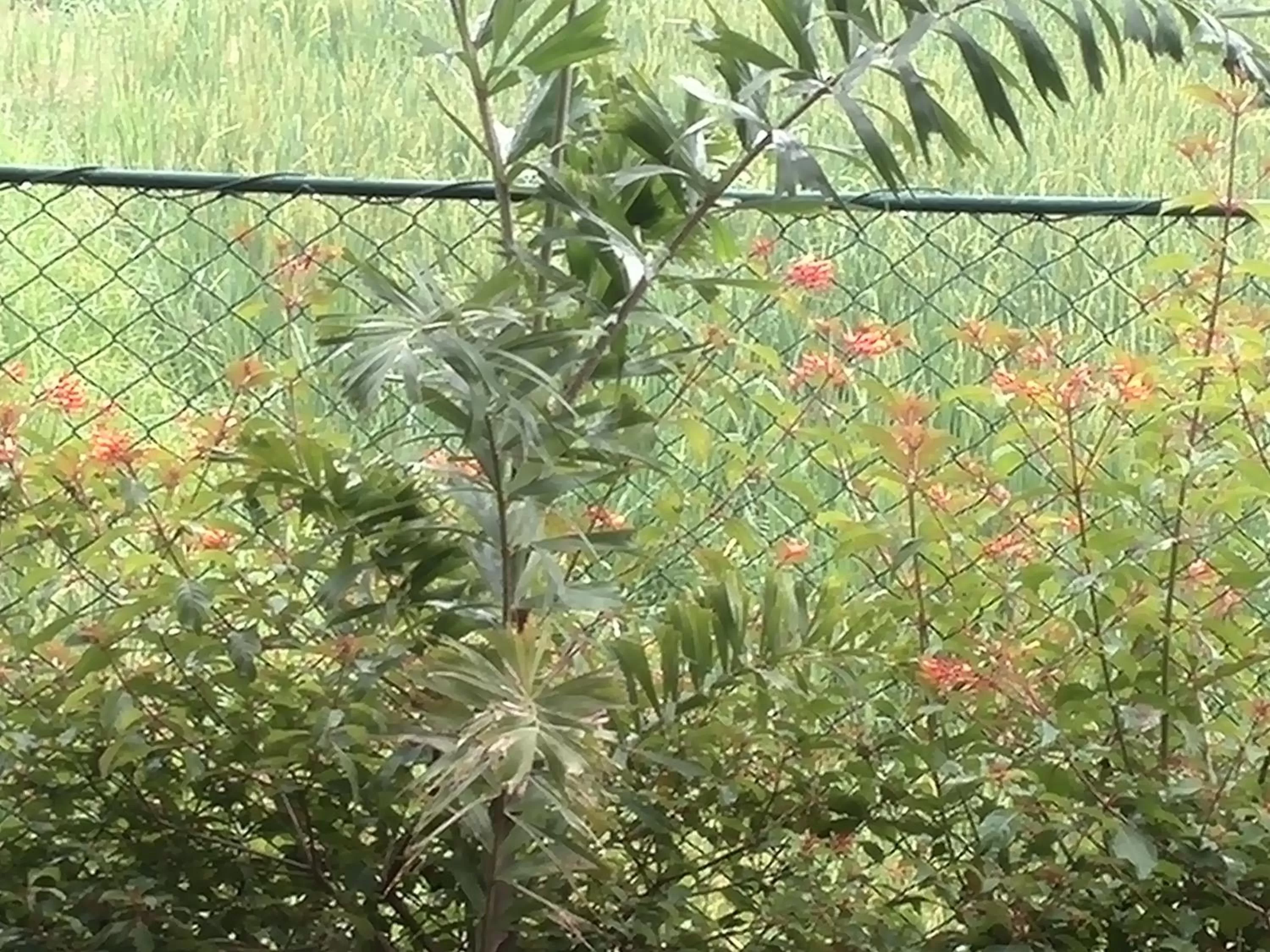 Day in Hotel Ancient Village