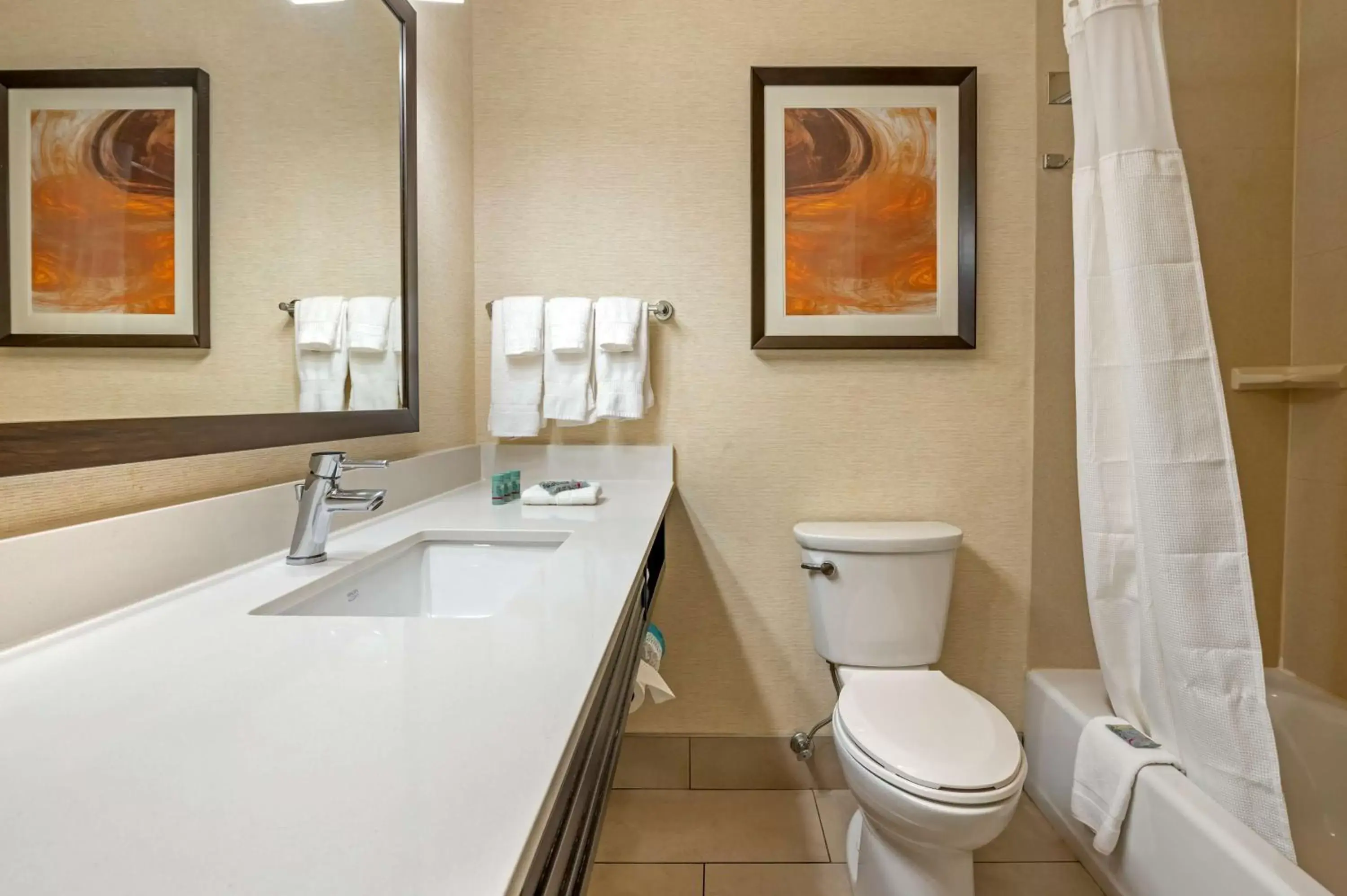 Bathroom in Best Western Hilliard Inn & Suites