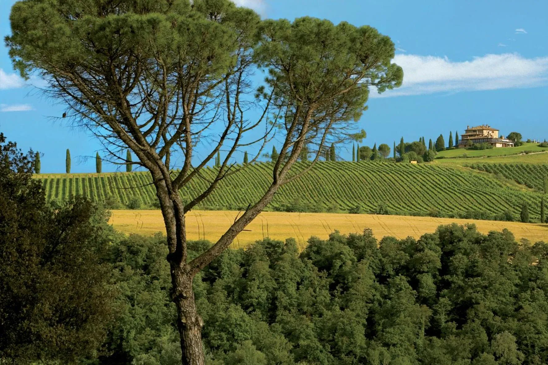 View (from property/room) in Relais Todini - Residenza d'epoca - Luxury Historic house