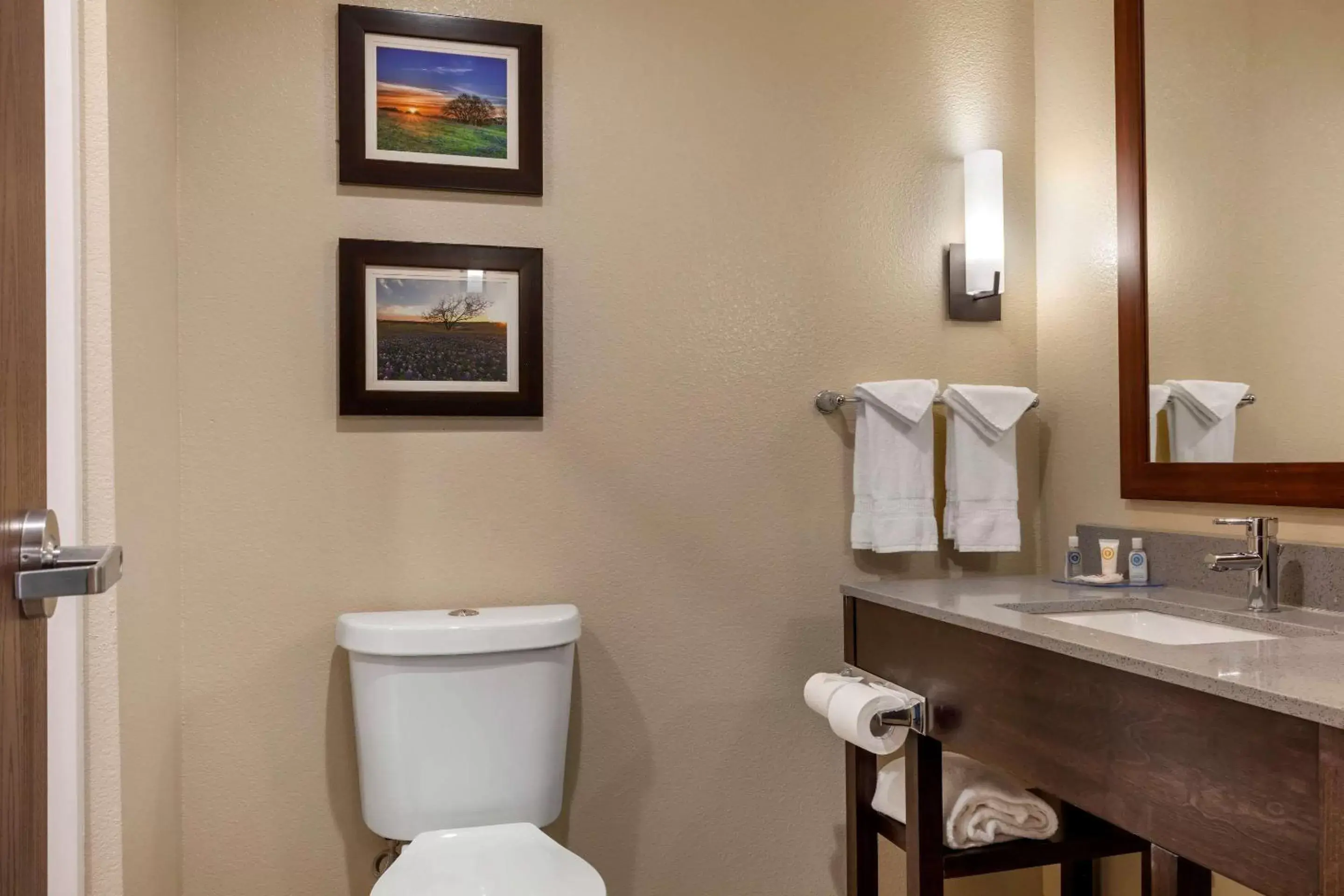 Toilet, Bathroom in Comfort Inn & Suites