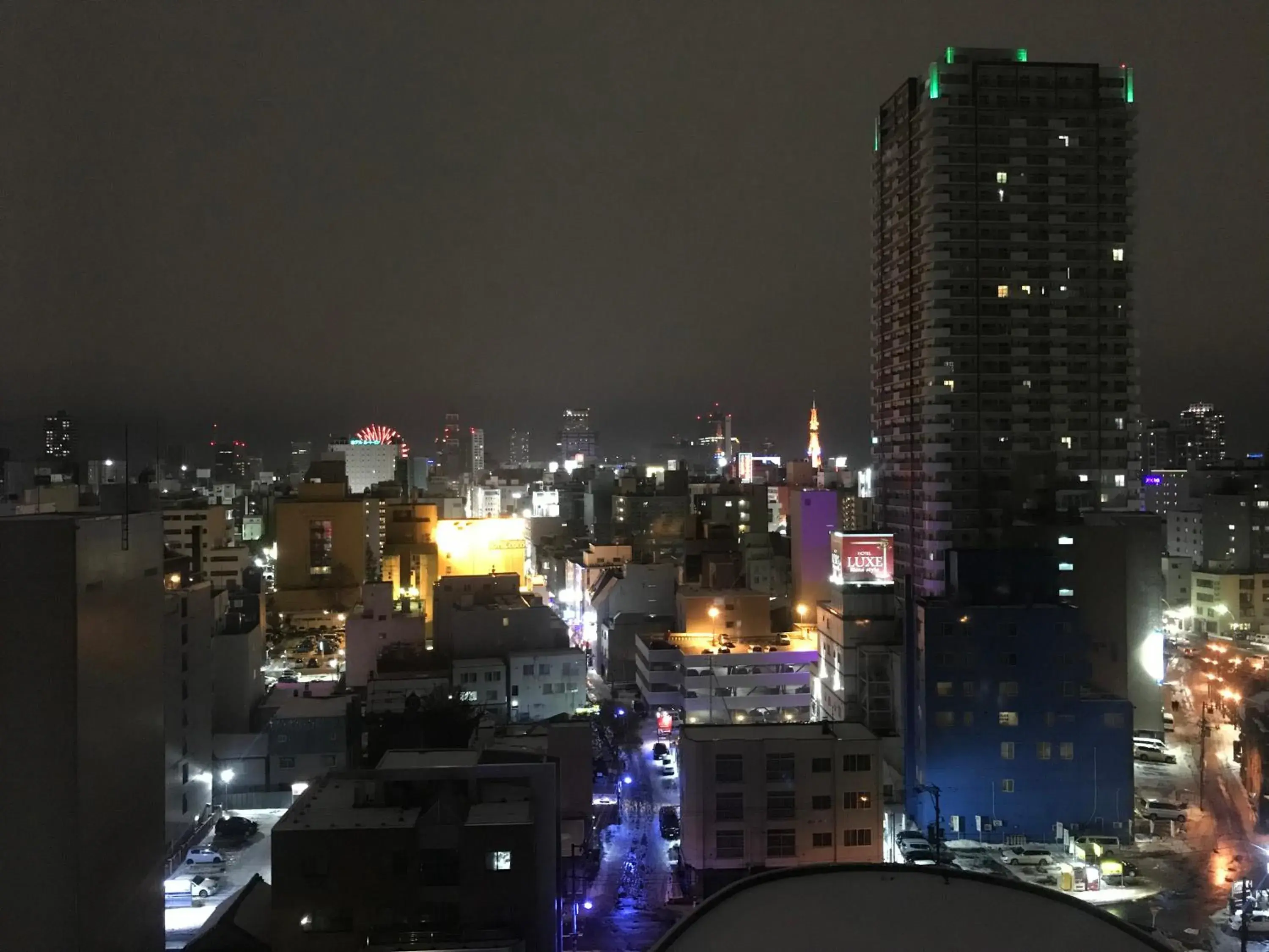 Quiet street view, City View in Hotel Resol Sapporo Nakajima Koen