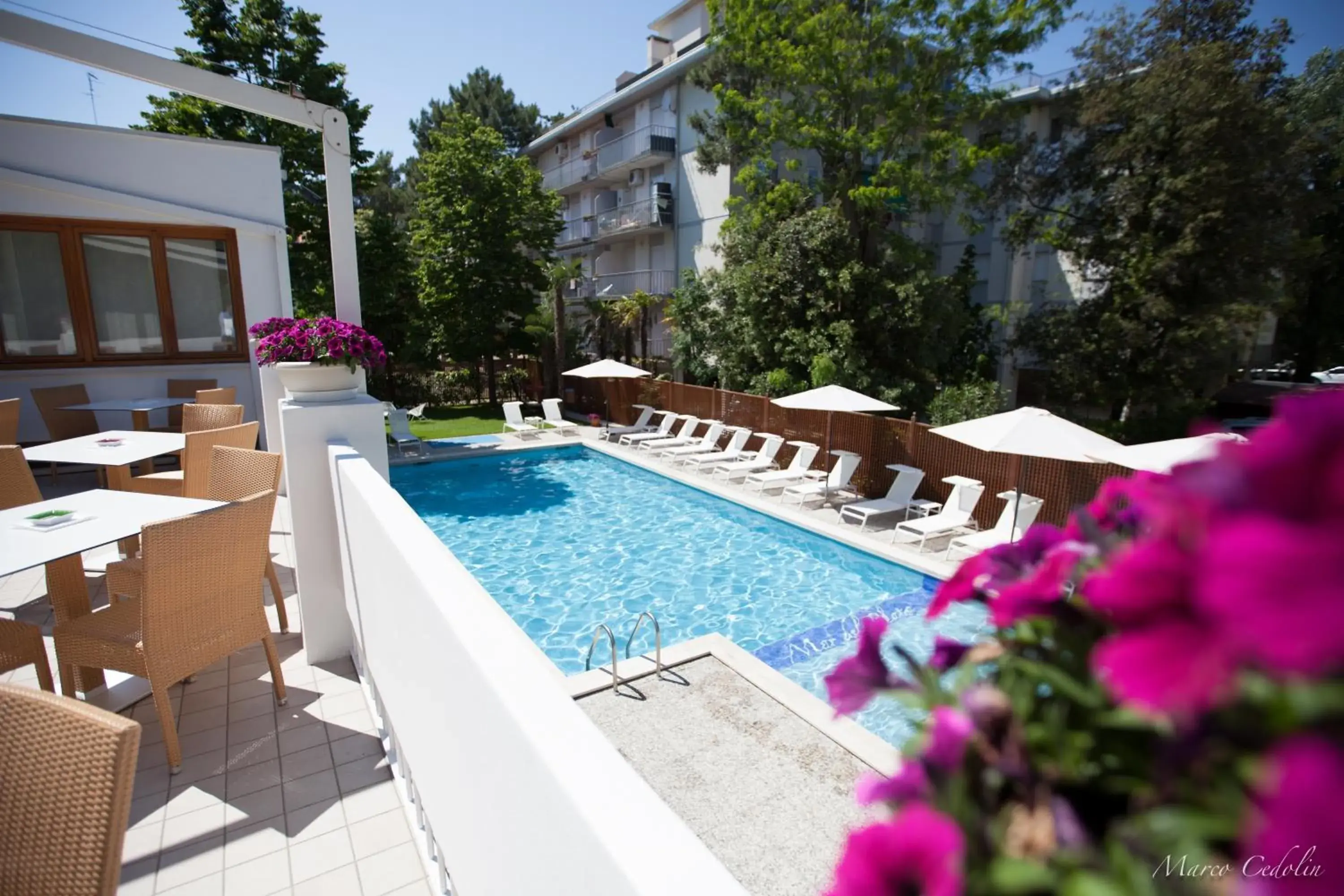 Day, Swimming Pool in Hotel Mar Del Plata