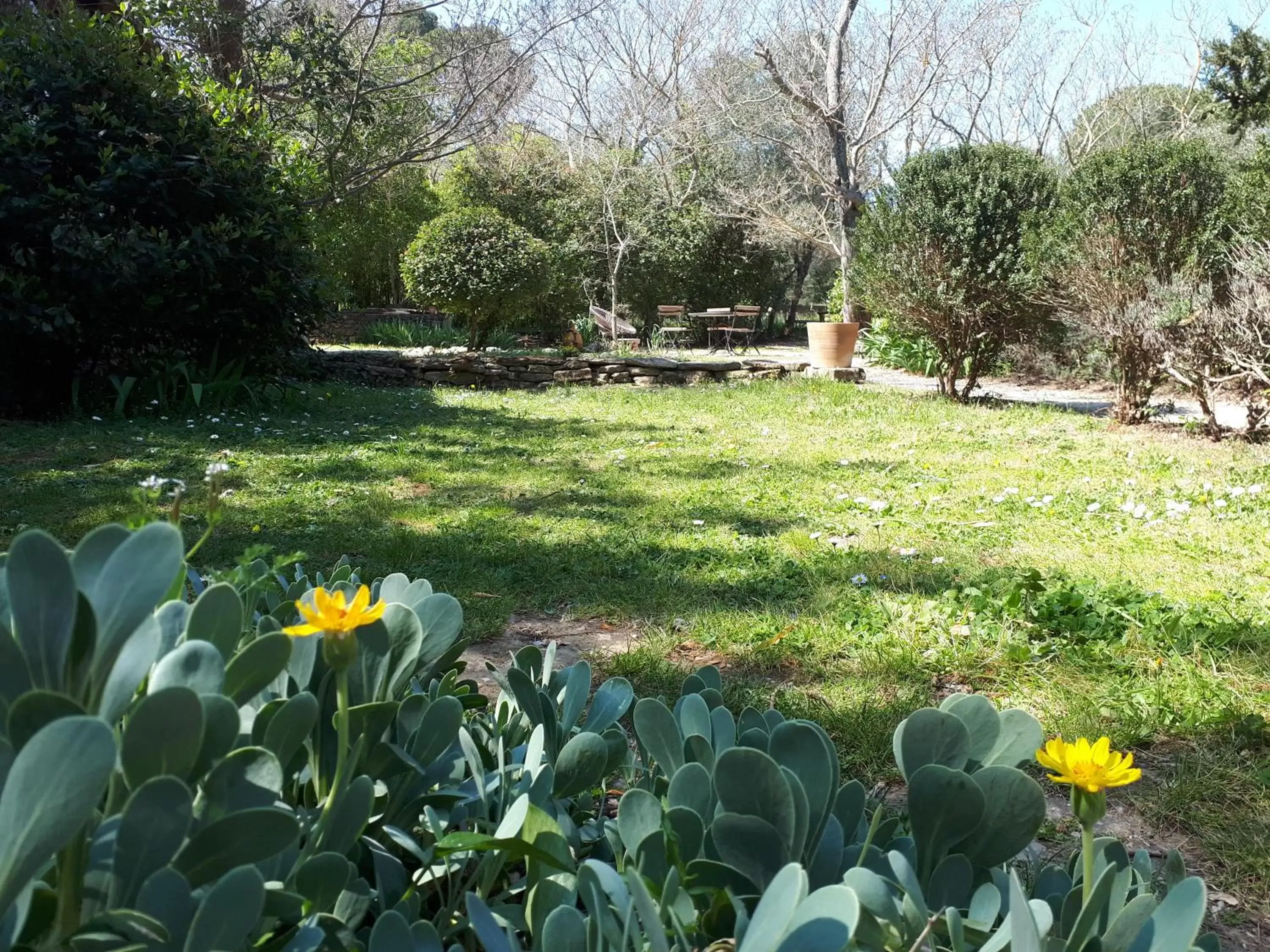 Garden in Aux berges du pont du gard