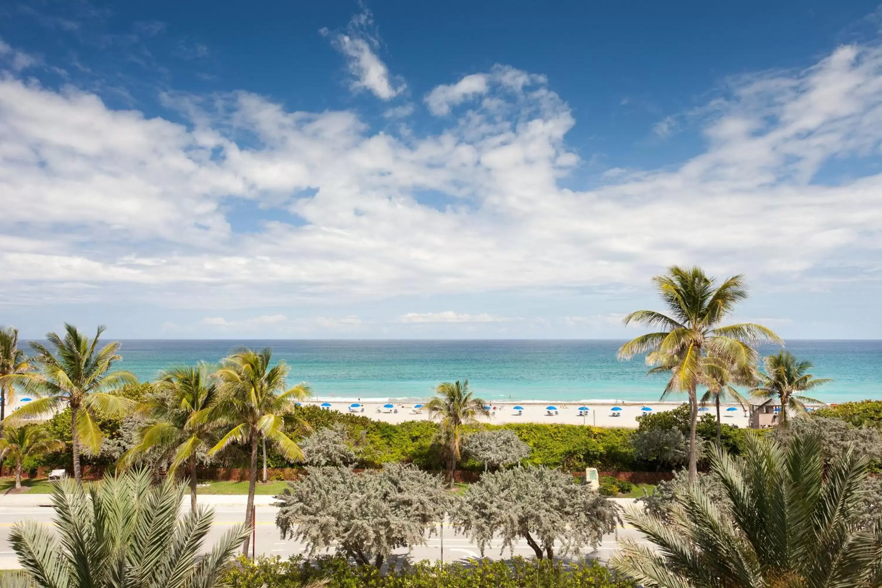 View (from property/room), Sea View in Opal Grand Oceanfront Resort & Spa