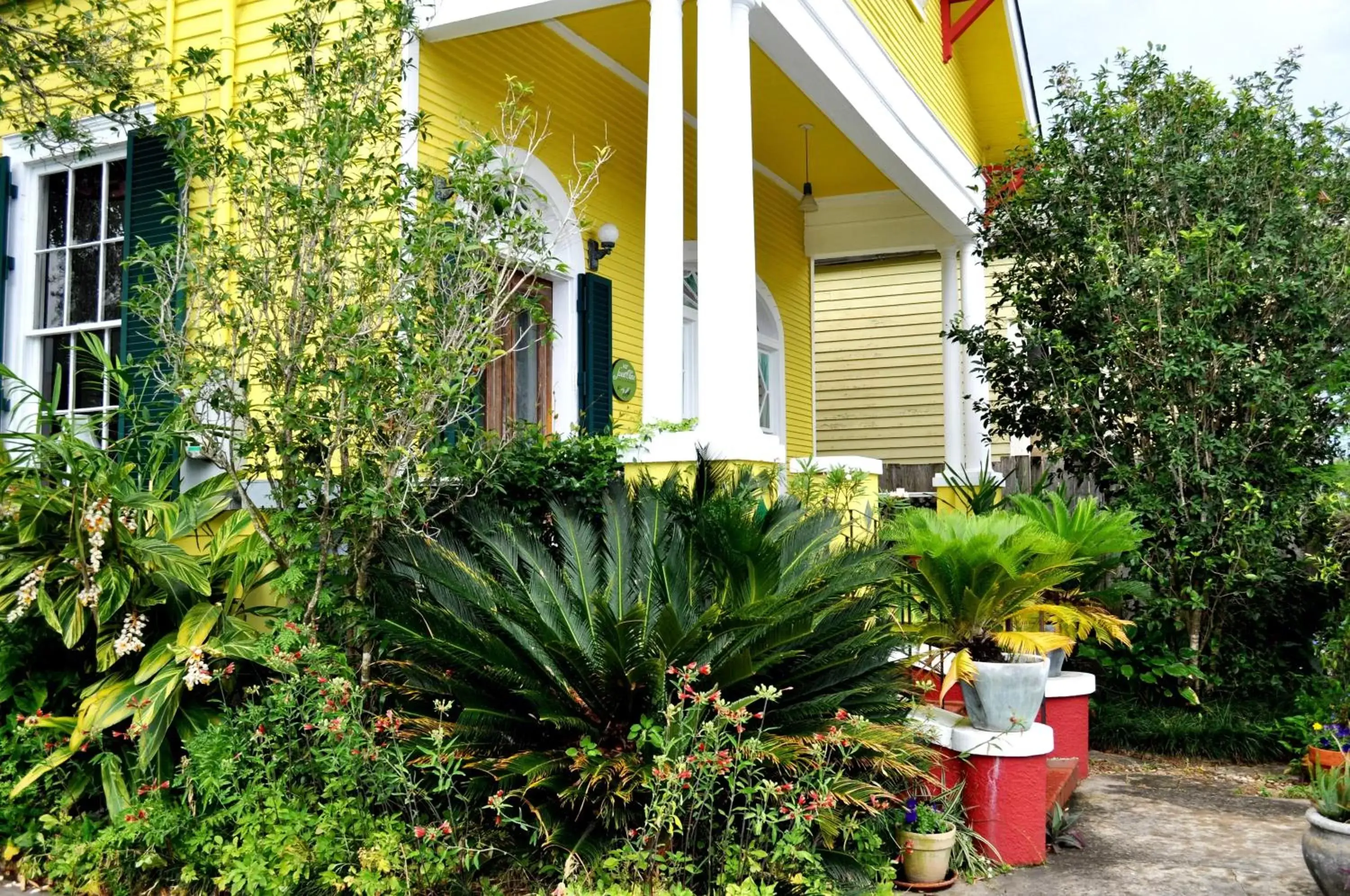 Facade/entrance, Garden in Auld Sweet Olive Bed and Breakfast